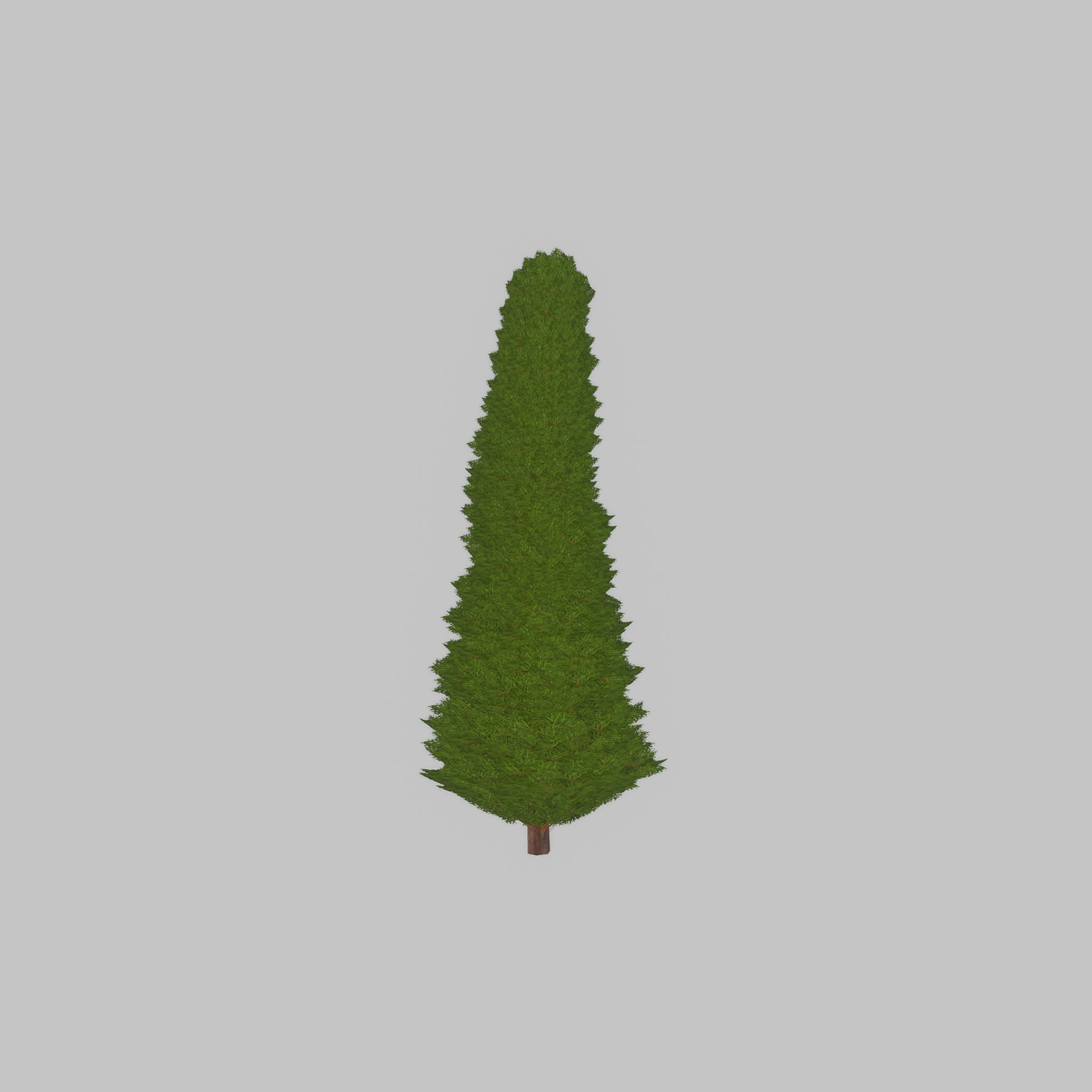 Mock cypress version-3 1000mm Low-poly 3D model_44