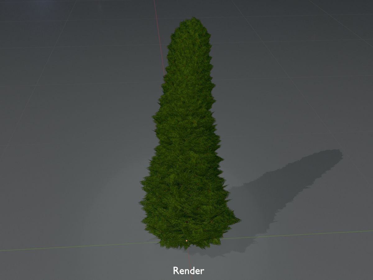 Mock cypress version-3 1000mm Low-poly 3D model_16