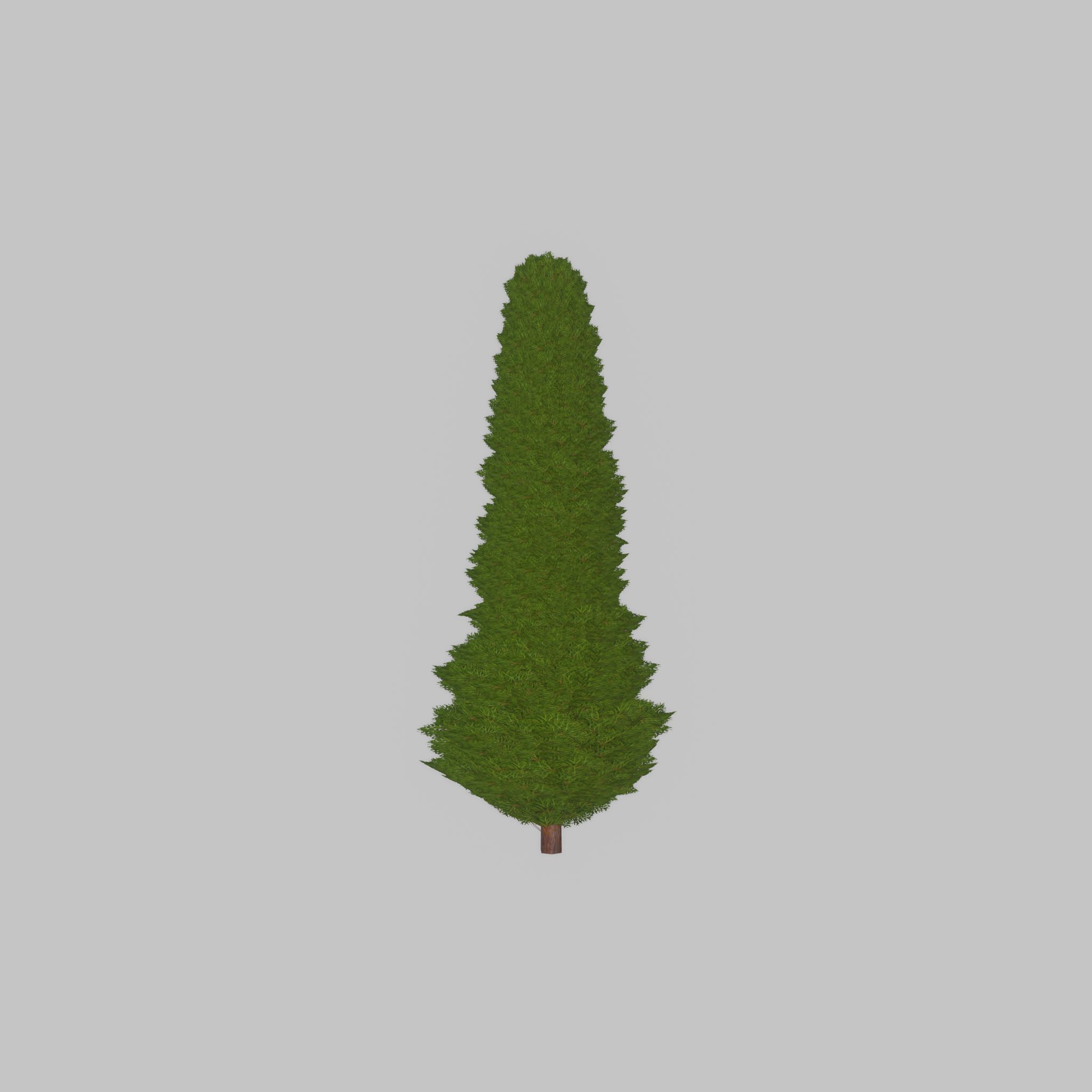 Mock cypress version-3 1000mm Low-poly 3D model_27
