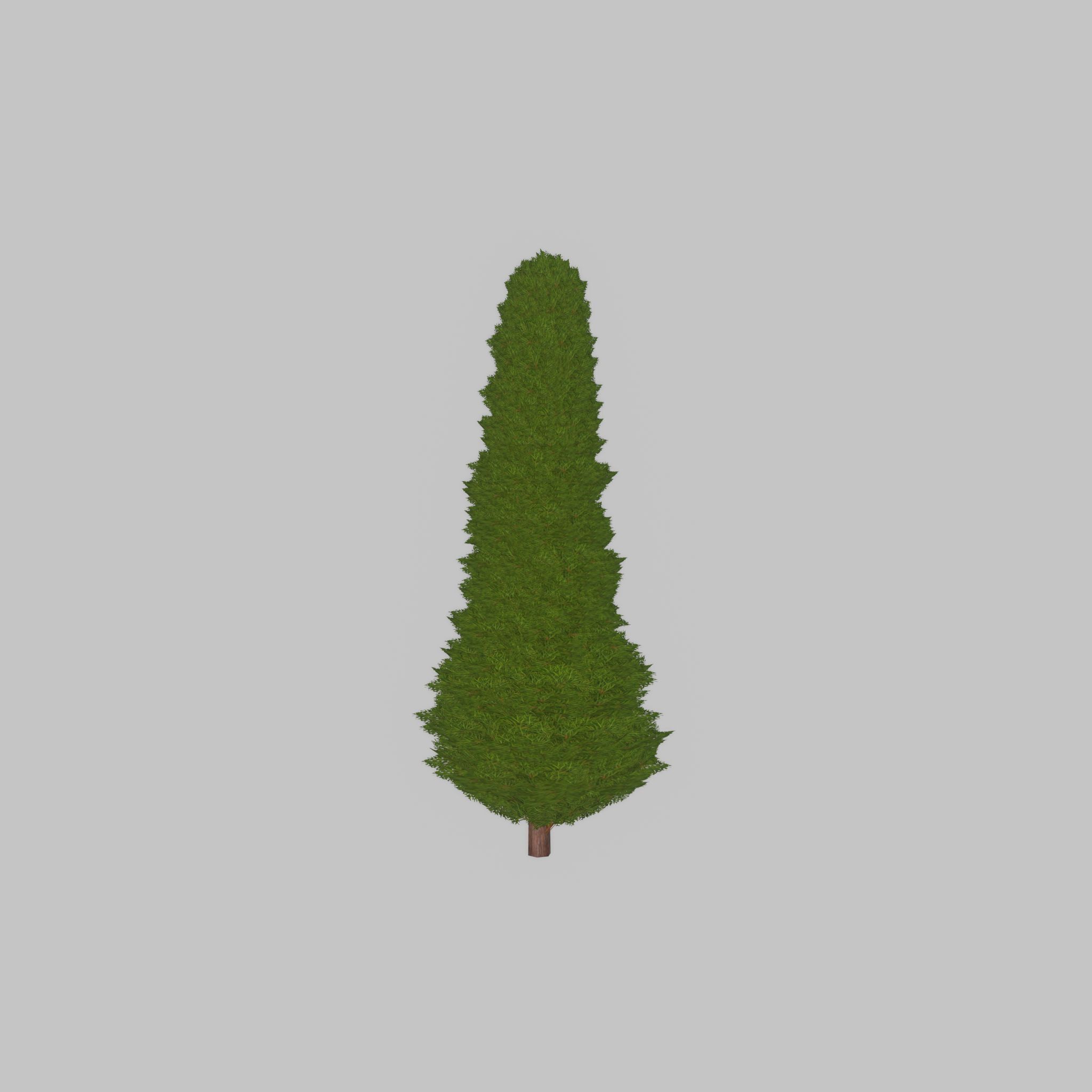 Mock cypress version-3 1000mm Low-poly 3D model_40