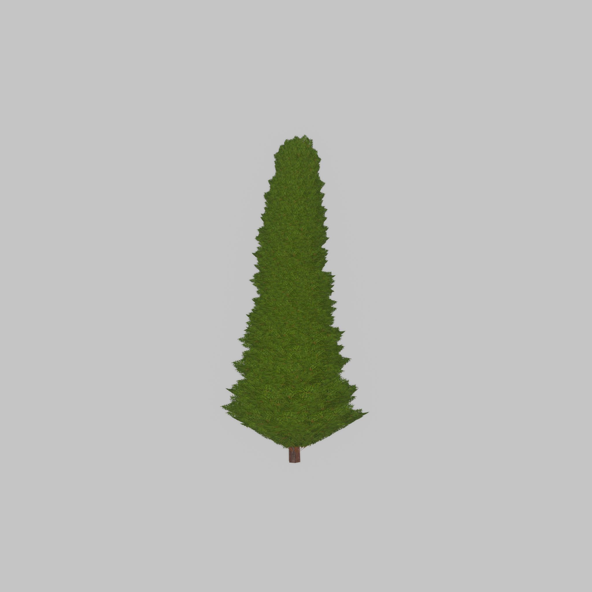 Mock cypress version-3 1000mm Low-poly 3D model_23