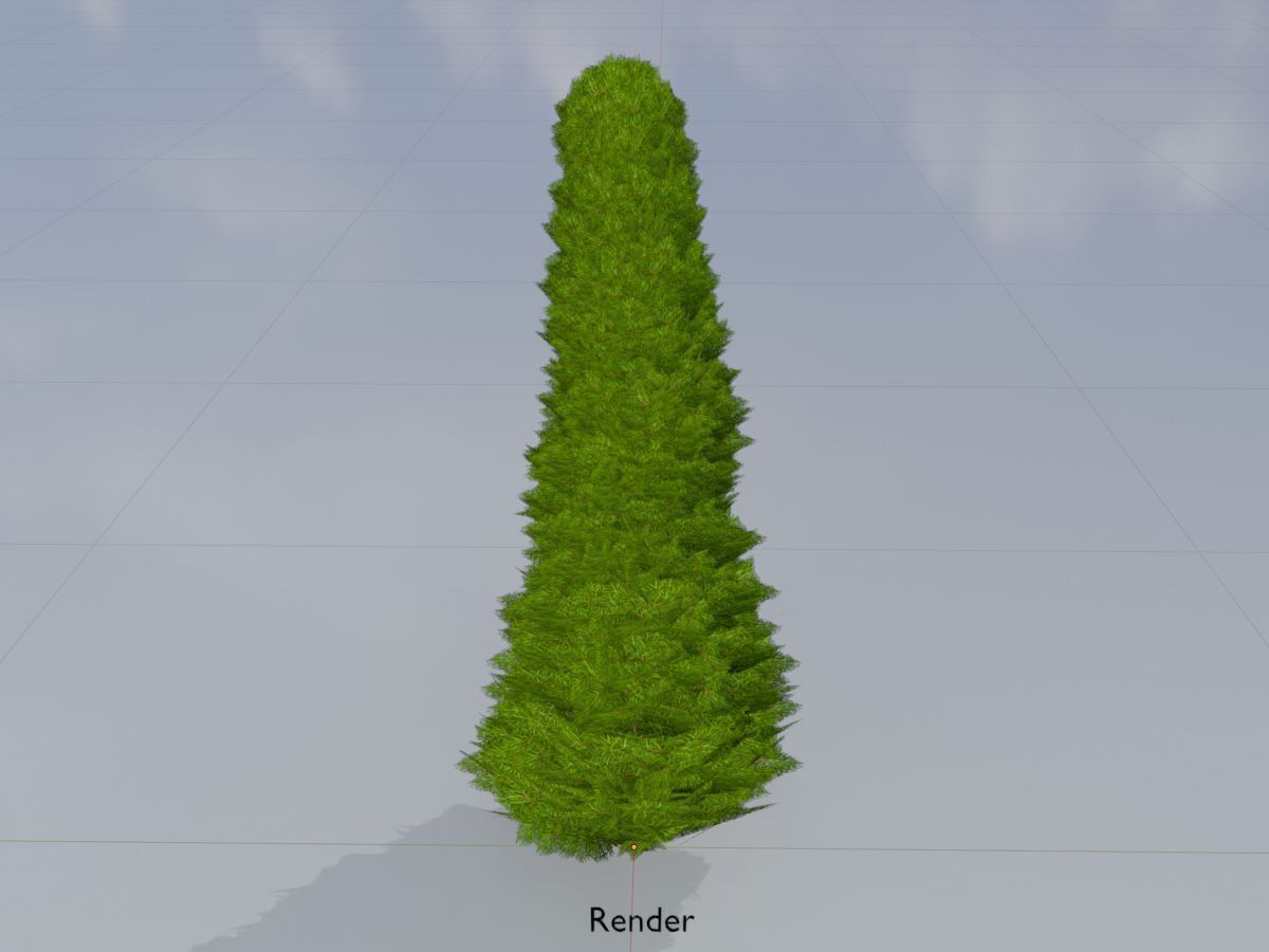 Mock cypress version-3 1000mm Low-poly 3D model_14