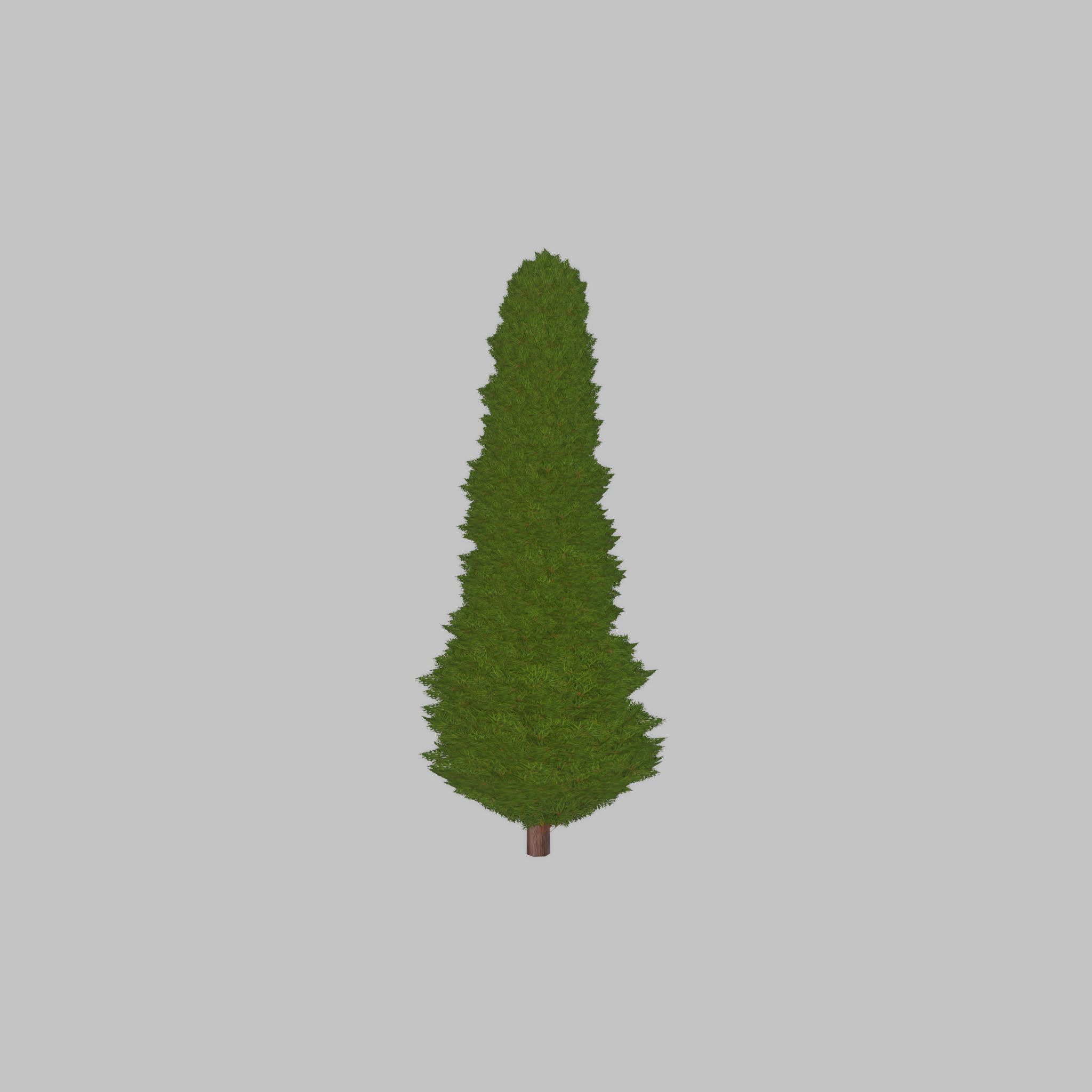 Mock cypress version-3 1000mm Low-poly 3D model_41