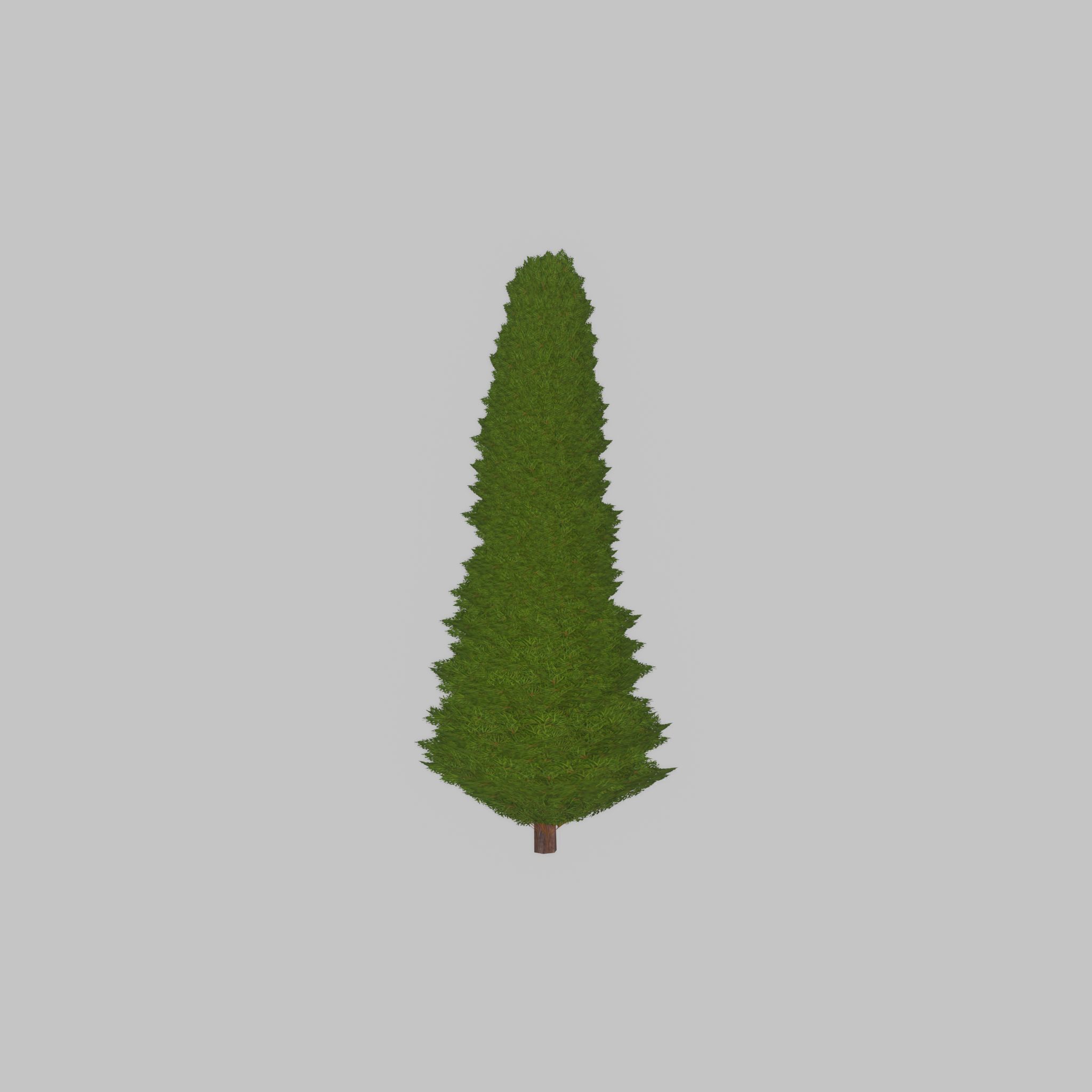 Mock cypress version-3 1000mm Low-poly 3D model_24