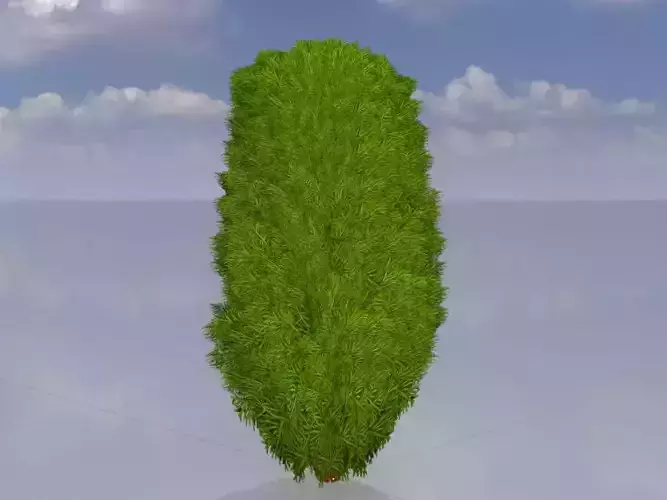 Mock cypress version-4 1000mm Low-poly 3D model