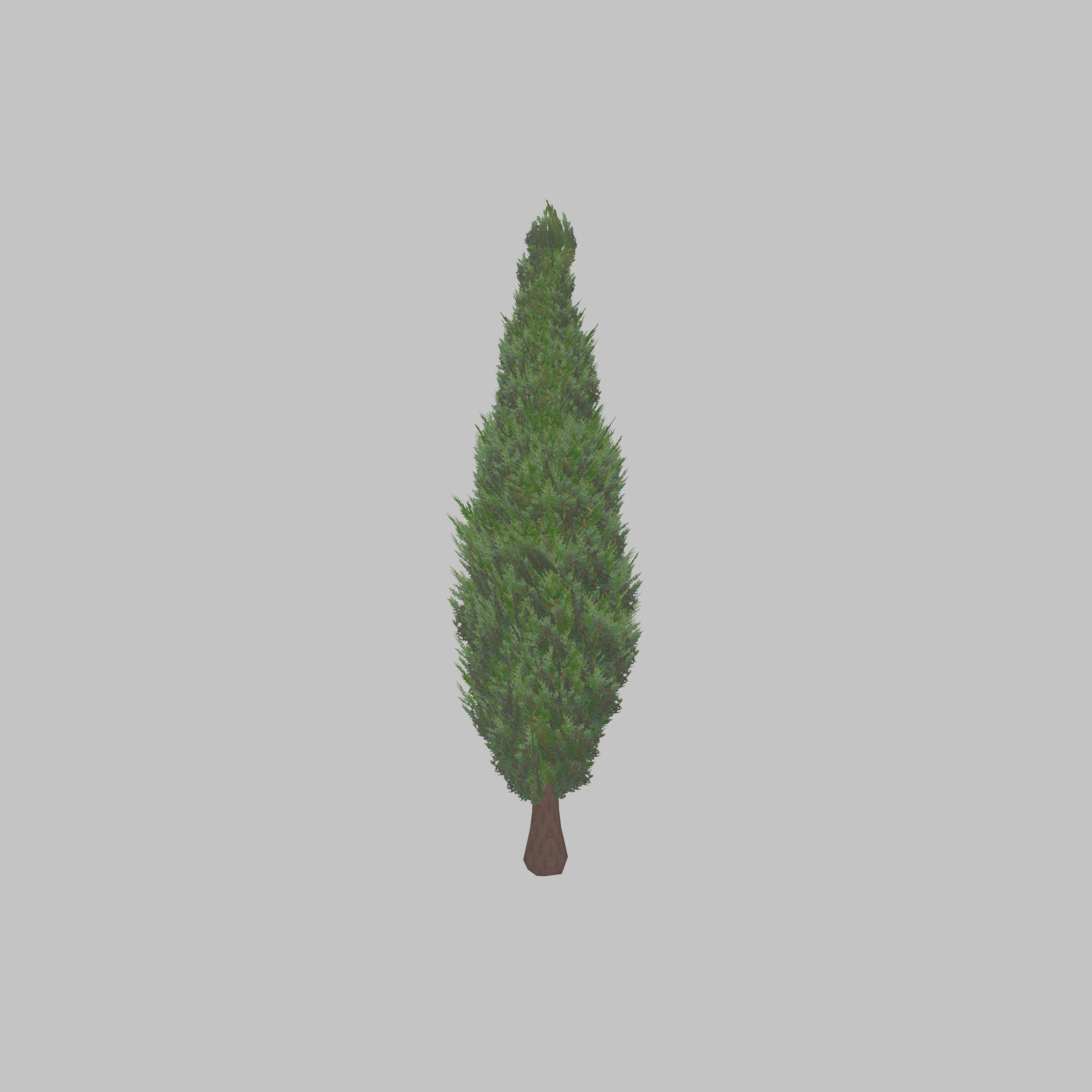 Mock cypress version-1 2000mm Low-poly 3D model_39