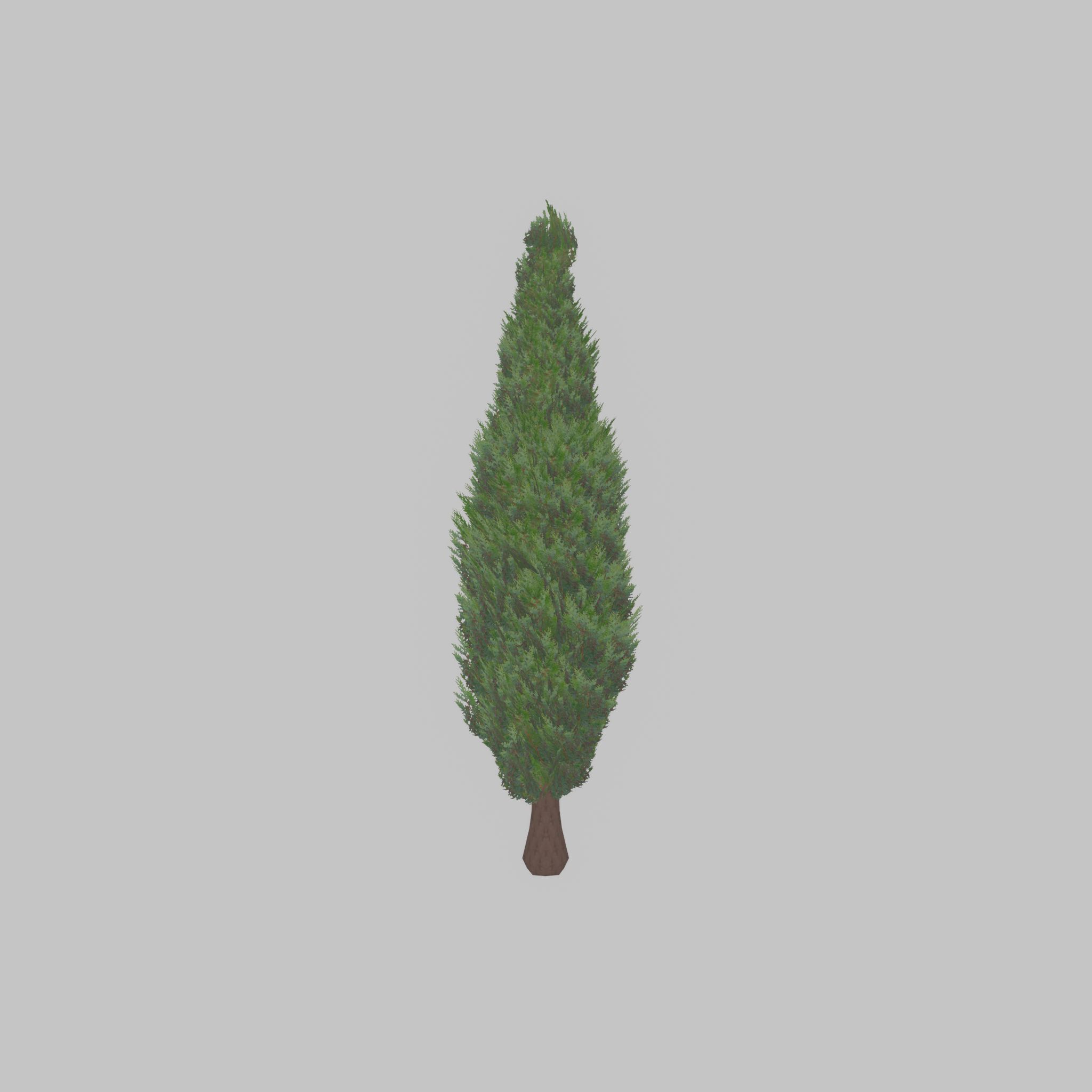 Mock cypress version-1 2000mm Low-poly 3D model_40