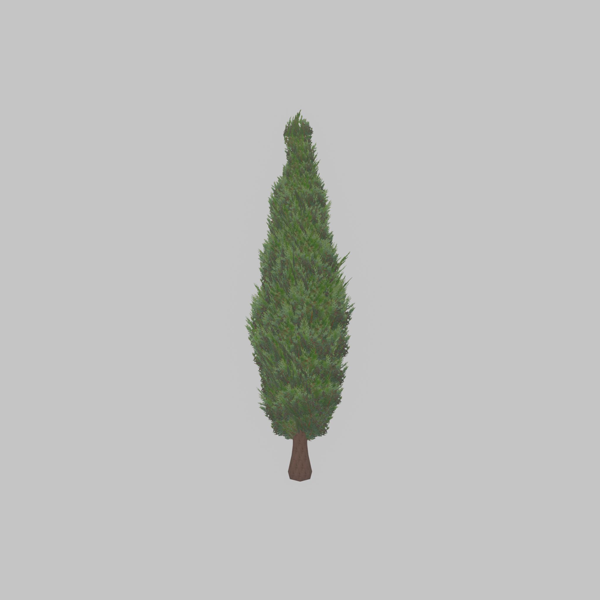 Mock cypress version-1 2000mm Low-poly 3D model_31