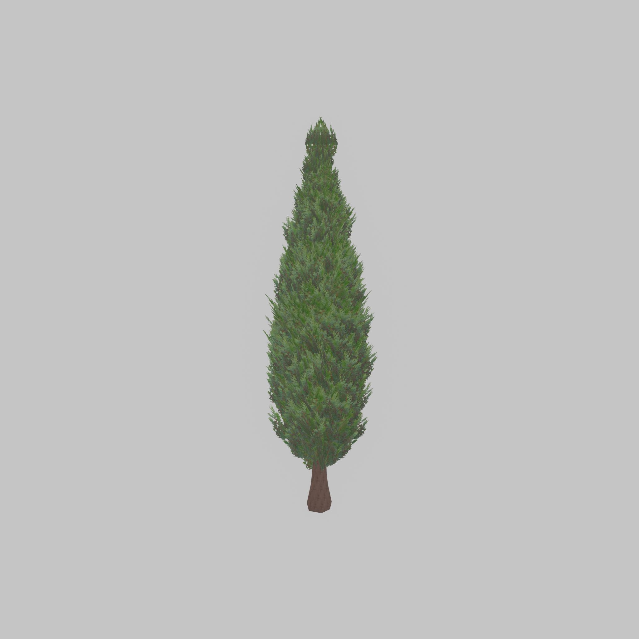 Mock cypress version-1 2000mm Low-poly 3D model_38