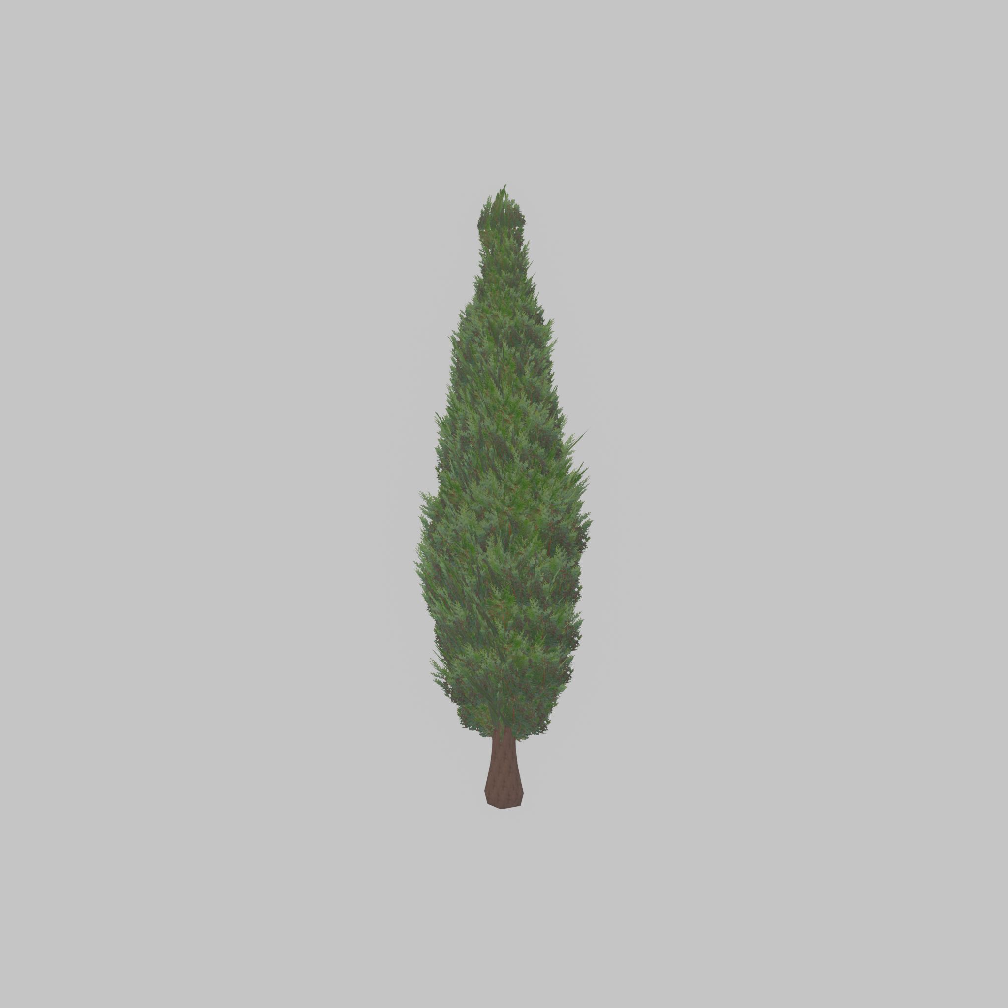 Mock cypress version-1 2000mm Low-poly 3D model_34