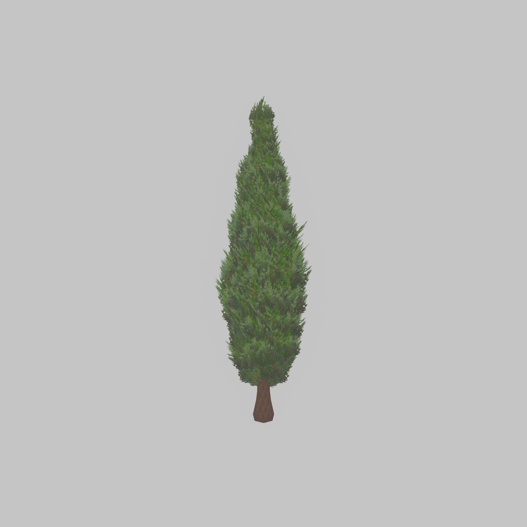 Mock cypress version-1 2000mm Low-poly 3D model_33