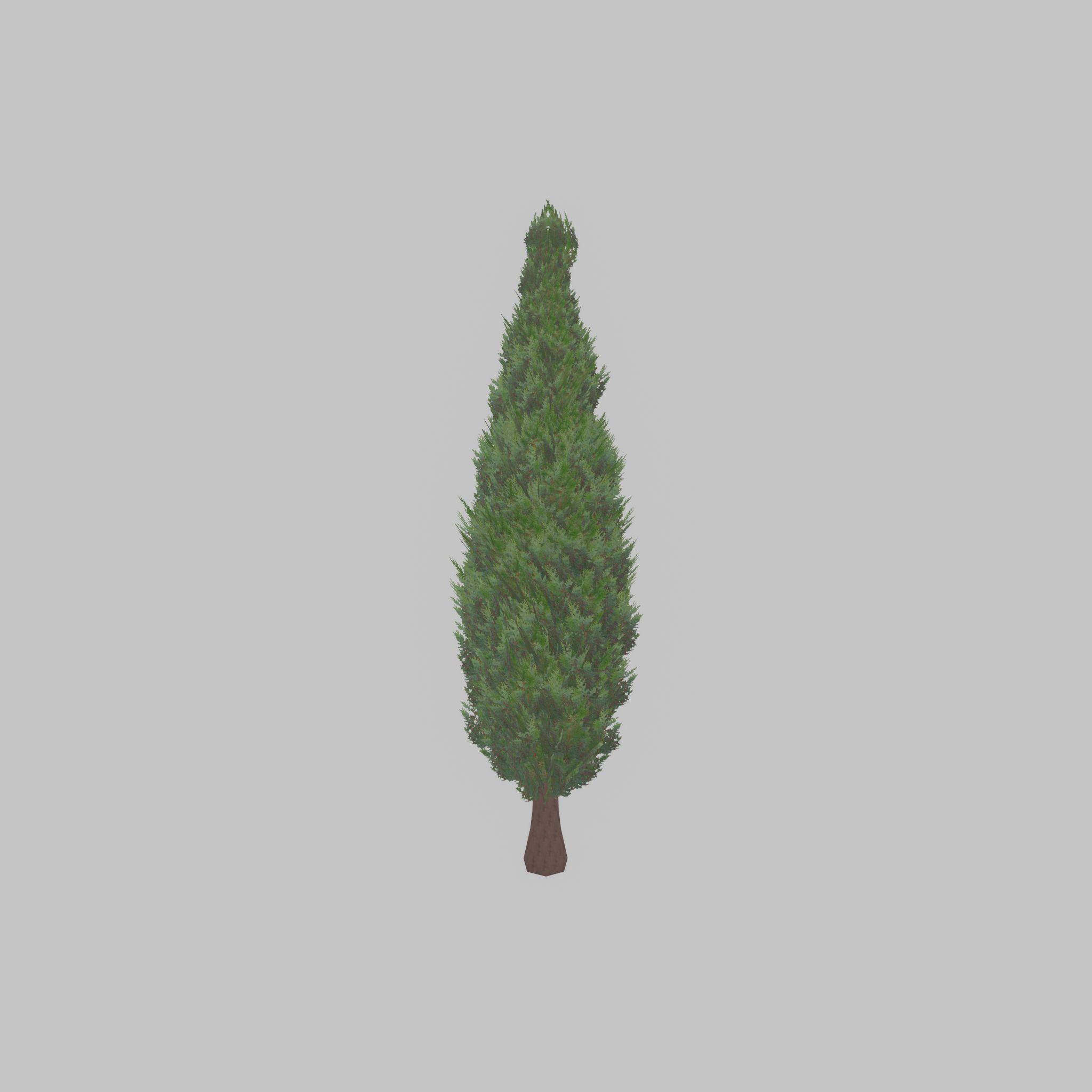 Mock cypress version-1 2000mm Low-poly 3D model_21
