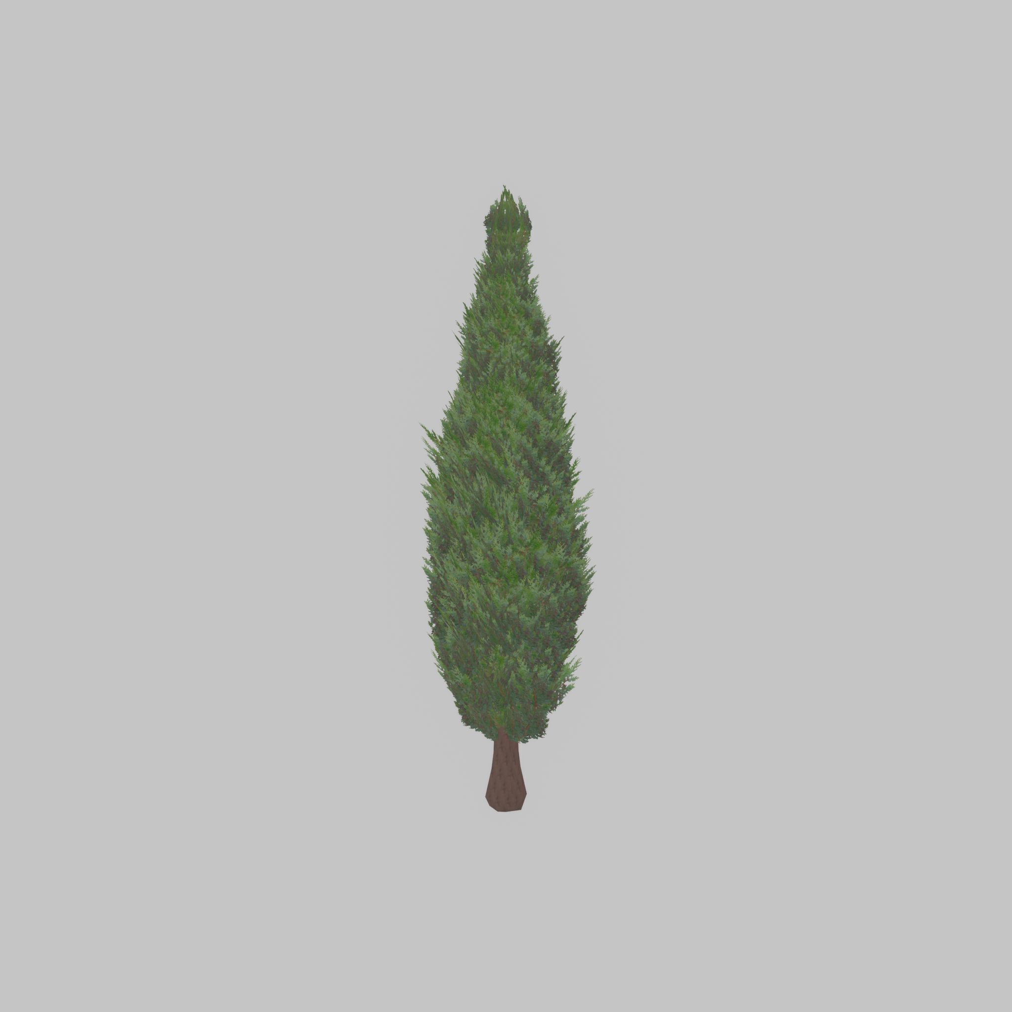 Mock cypress version-1 2000mm Low-poly 3D model_45