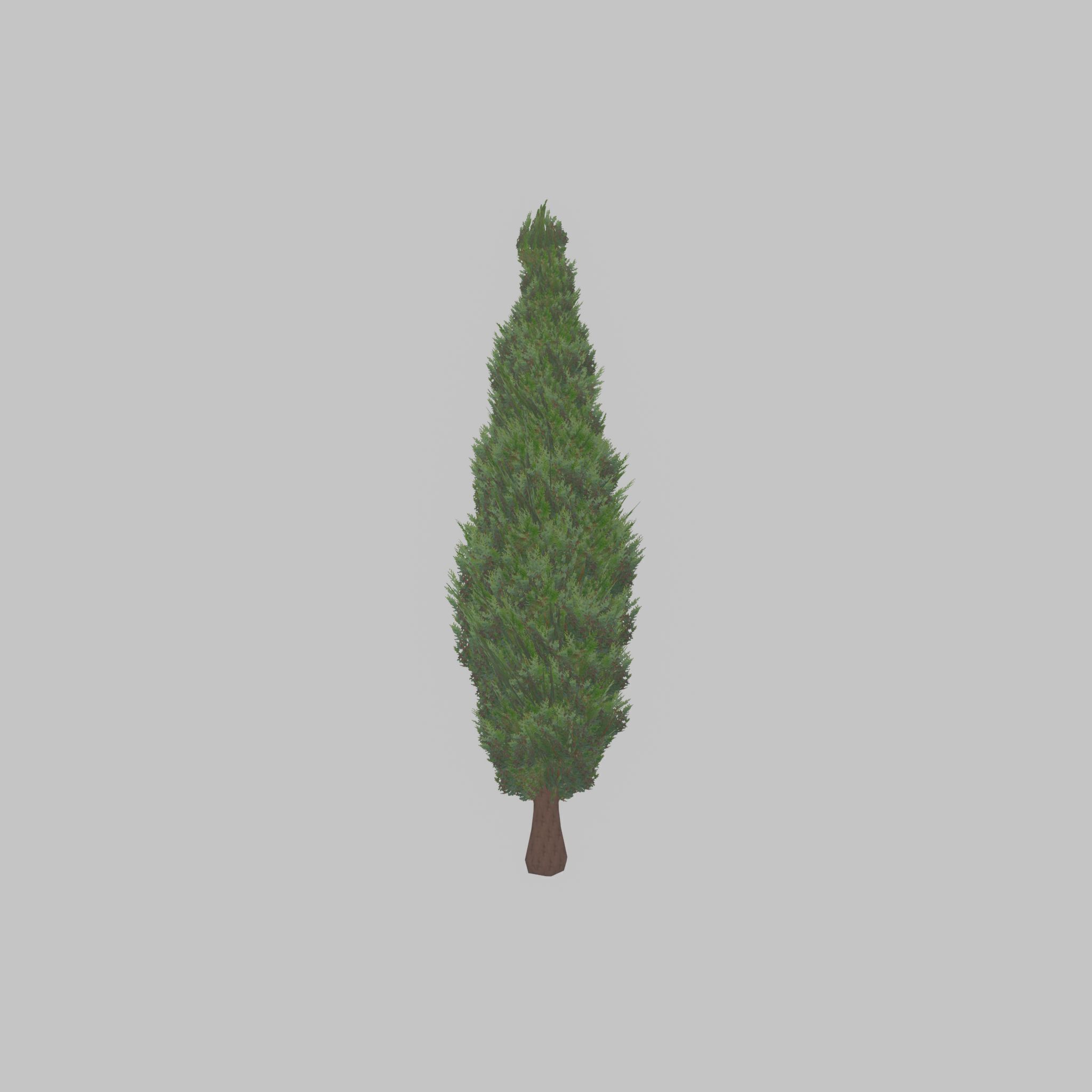 Mock cypress version-1 2000mm Low-poly 3D model_30