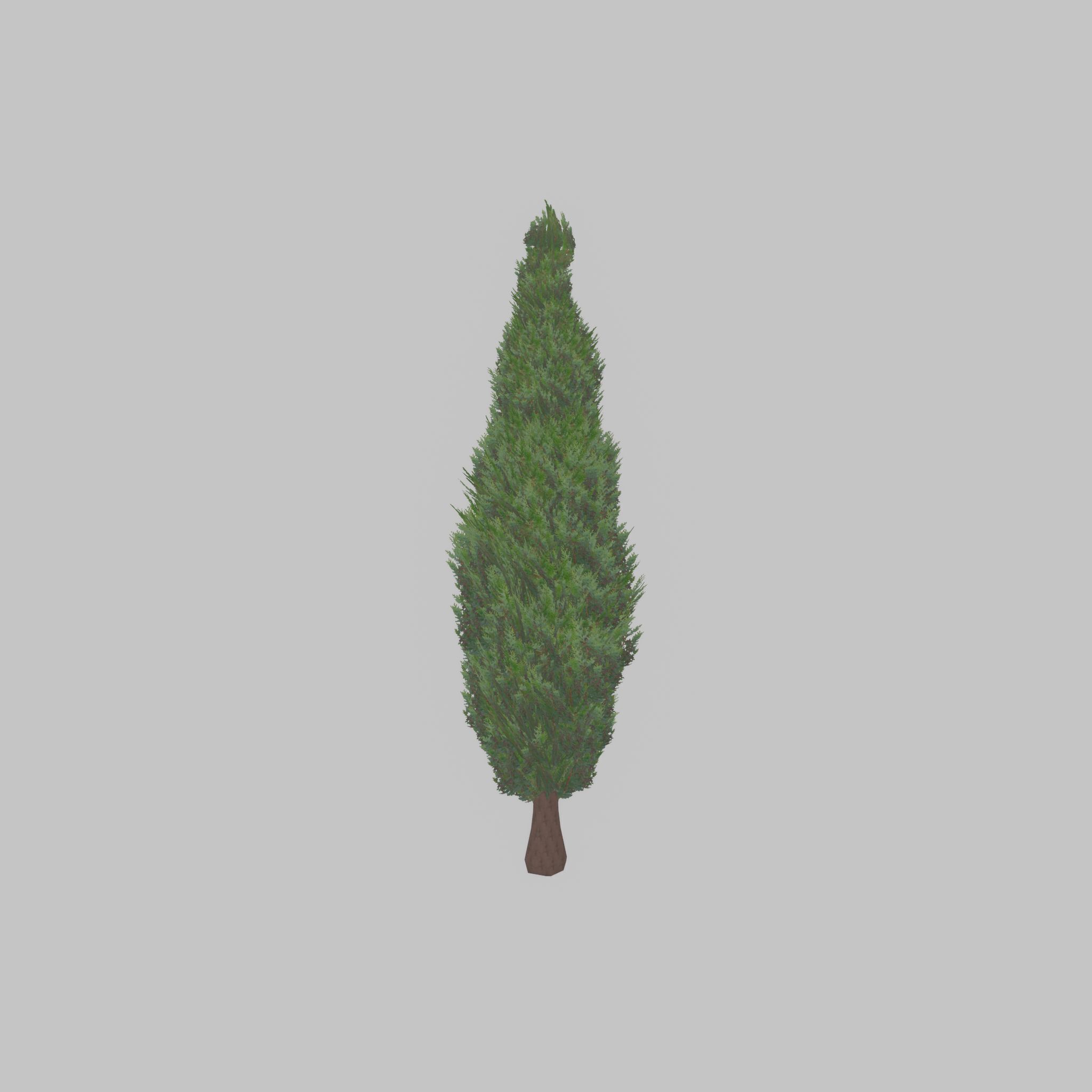 Mock cypress version-1 2000mm Low-poly 3D model_42