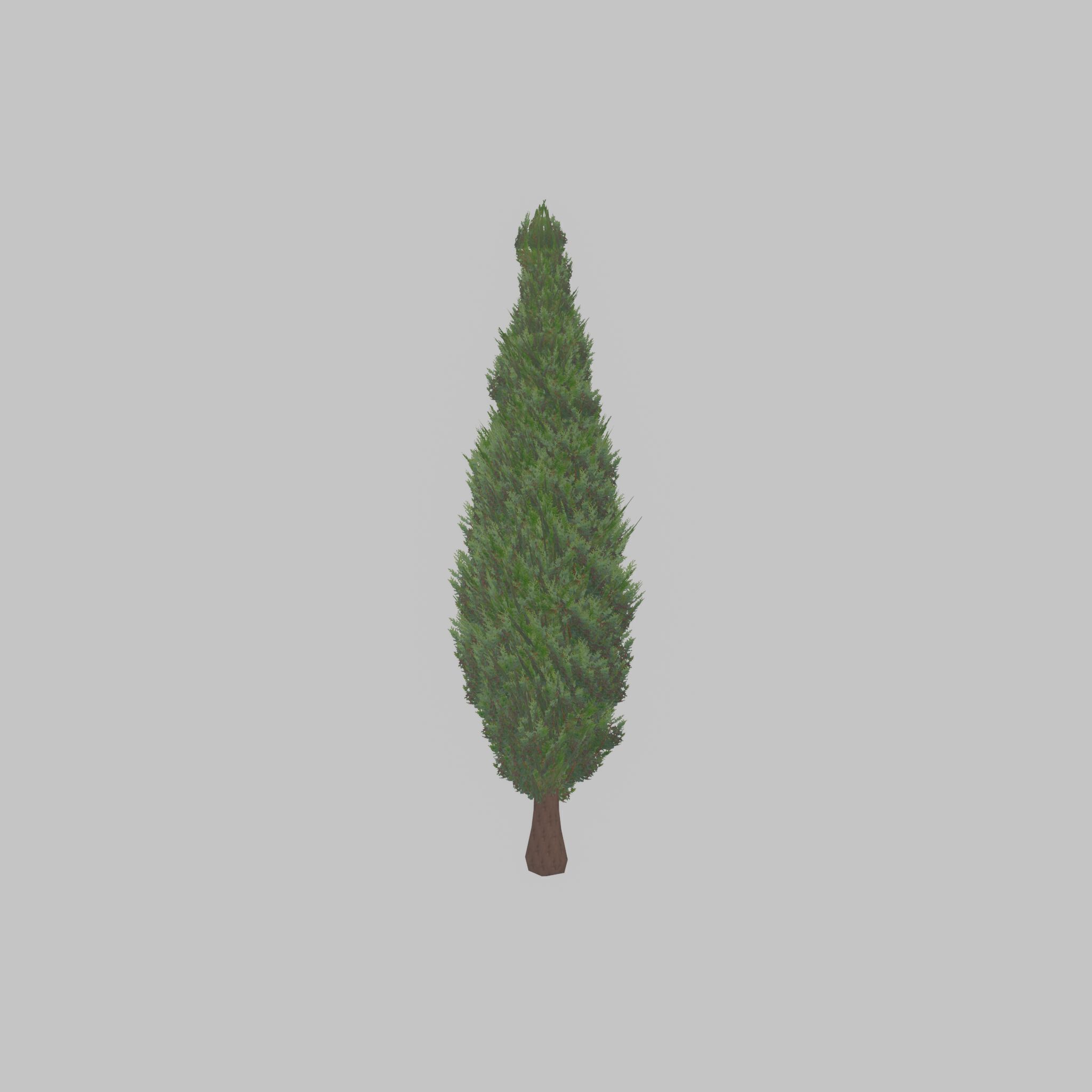 Mock cypress version-1 2000mm Low-poly 3D model_26