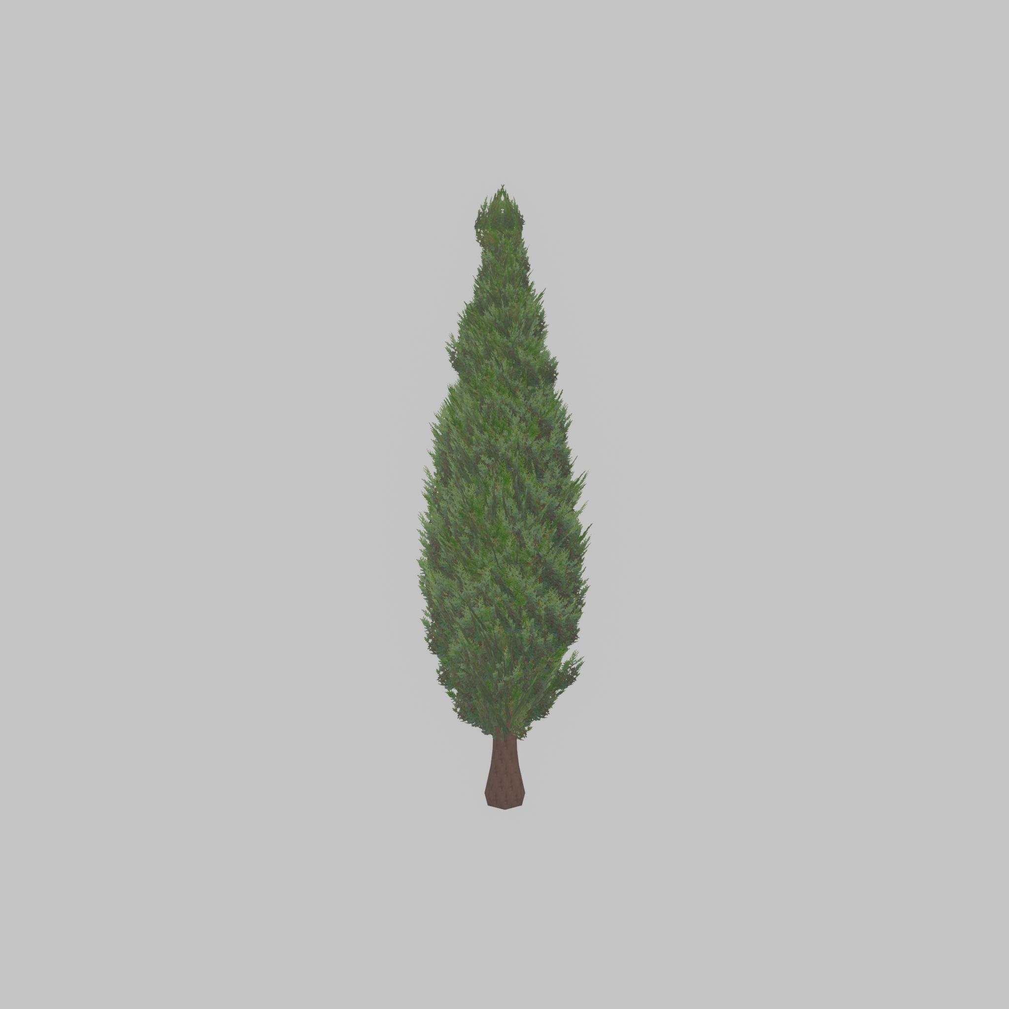 Mock cypress version-1 2000mm Low-poly 3D model_25