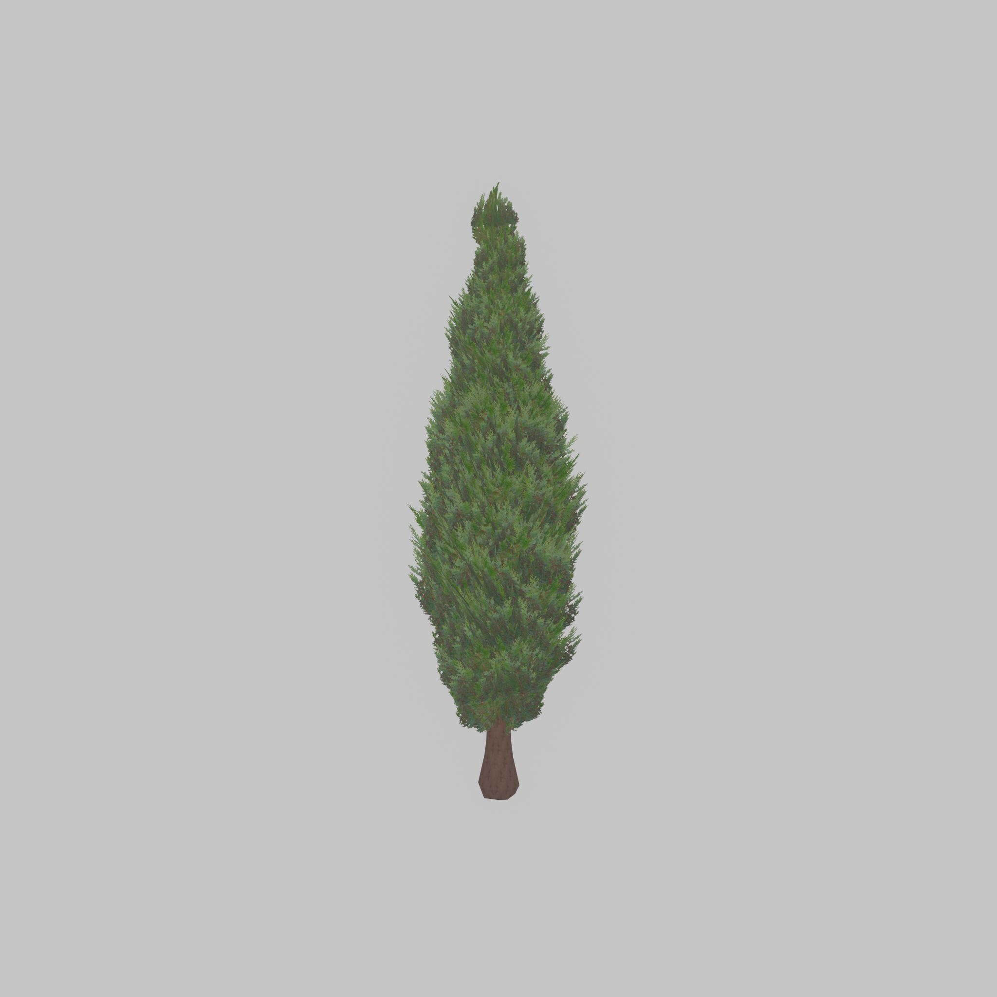 Mock cypress version-1 2000mm Low-poly 3D model_29