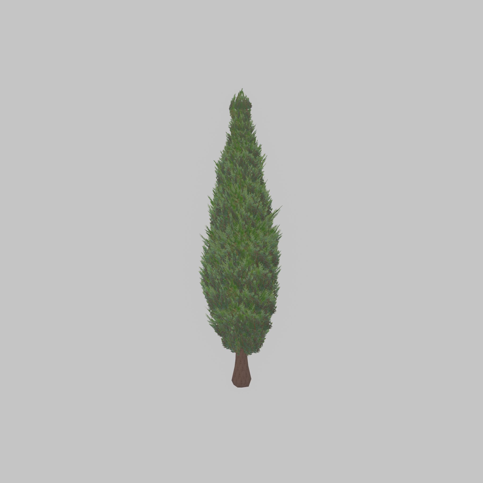 Mock cypress version-1 2000mm Low-poly 3D model_35