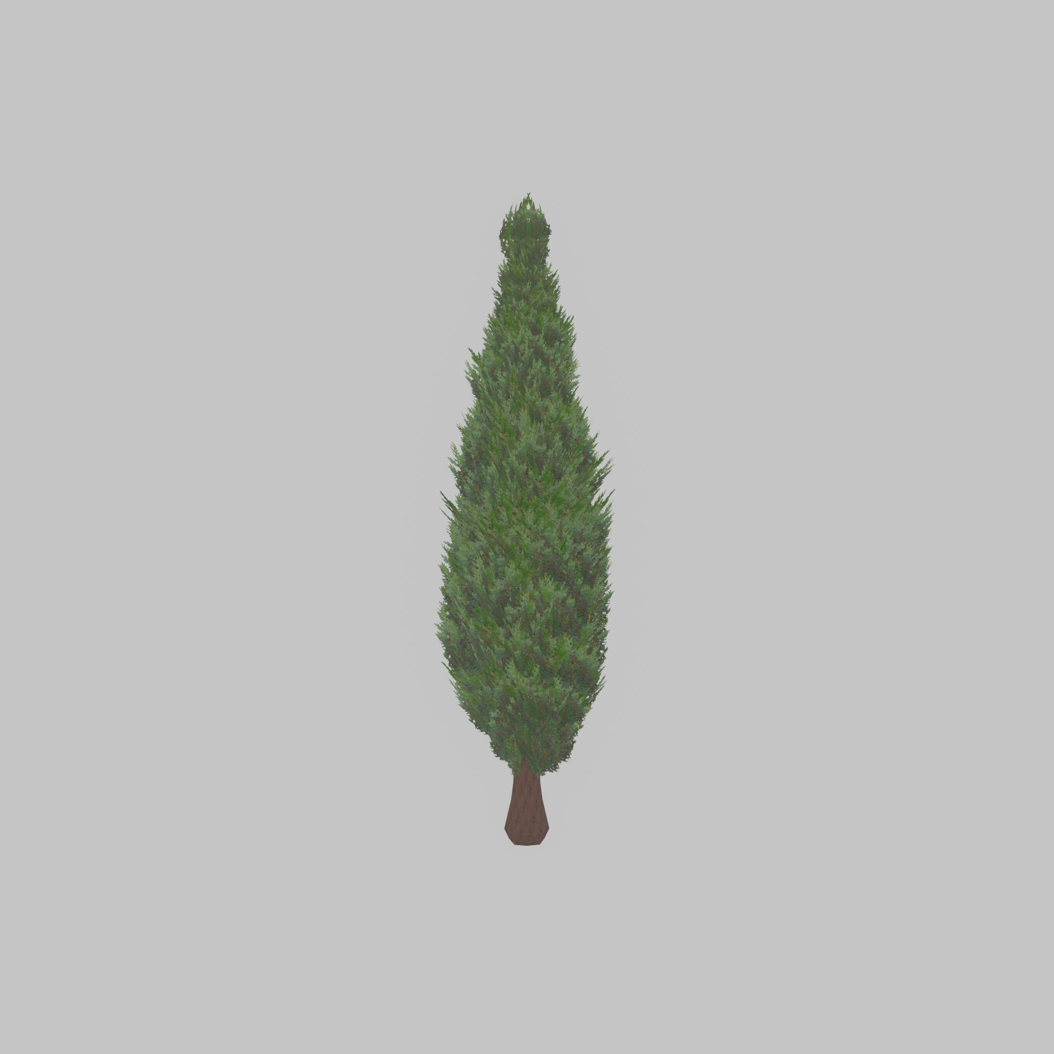 Mock cypress version-1 2000mm Low-poly 3D model_36
