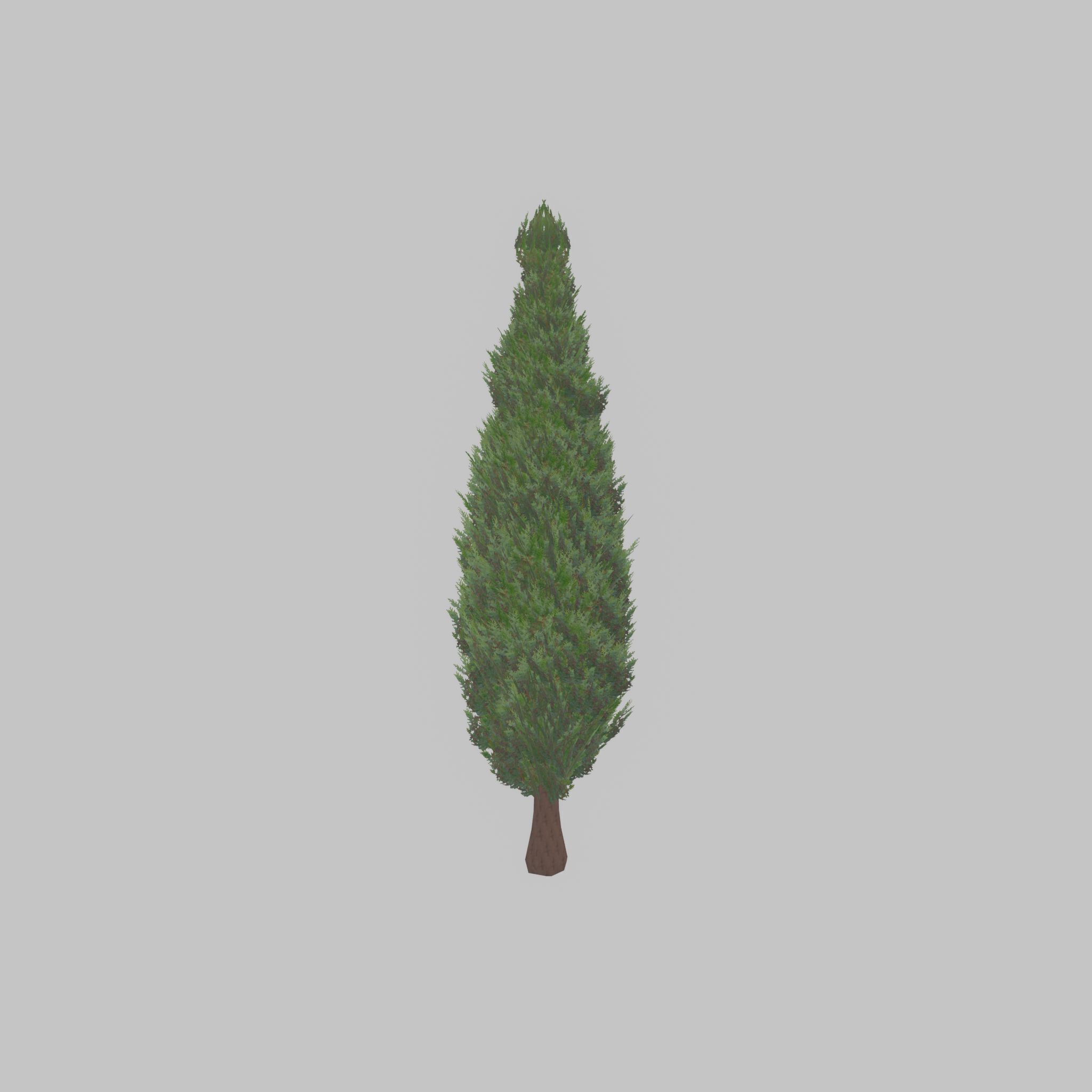 Mock cypress version-1 2000mm Low-poly 3D model_24