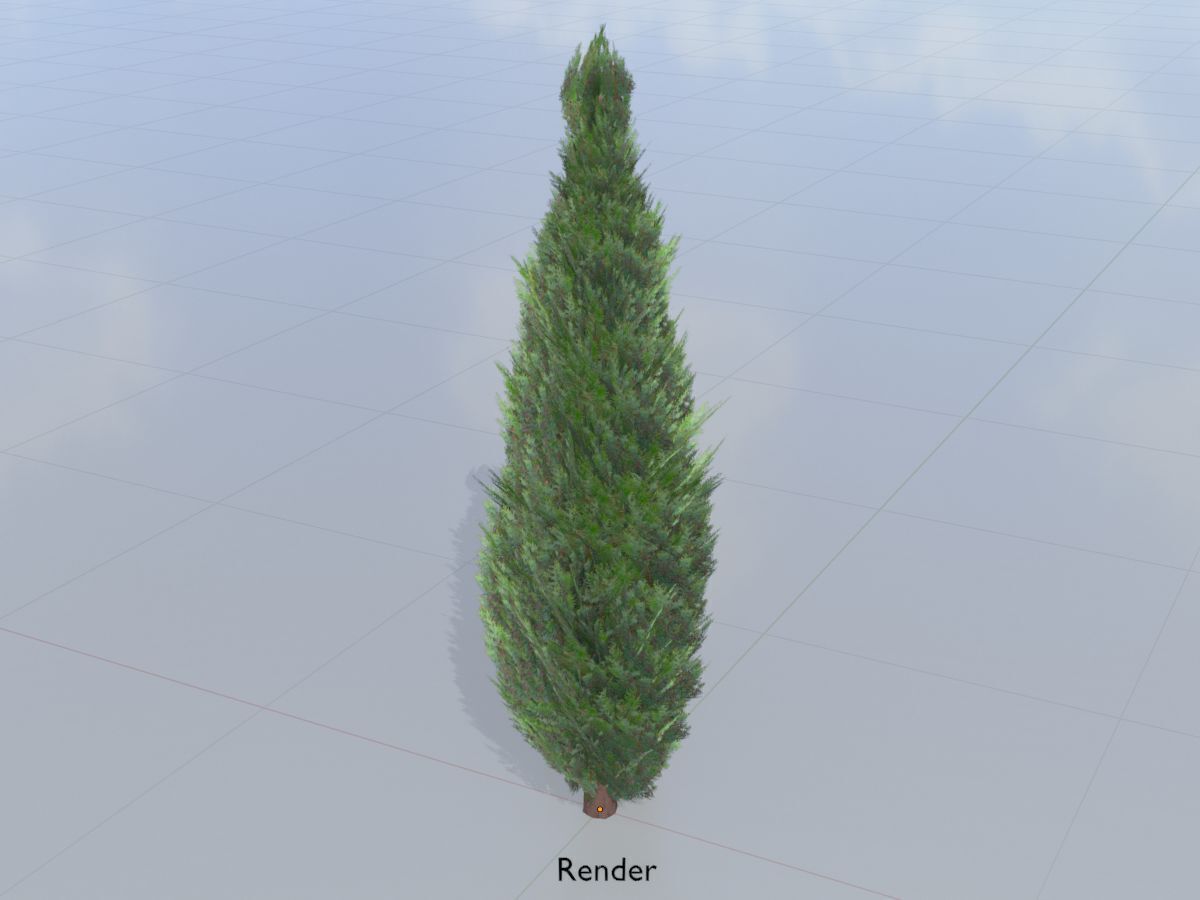 Mock cypress version-1 2000mm Low-poly 3D model_16