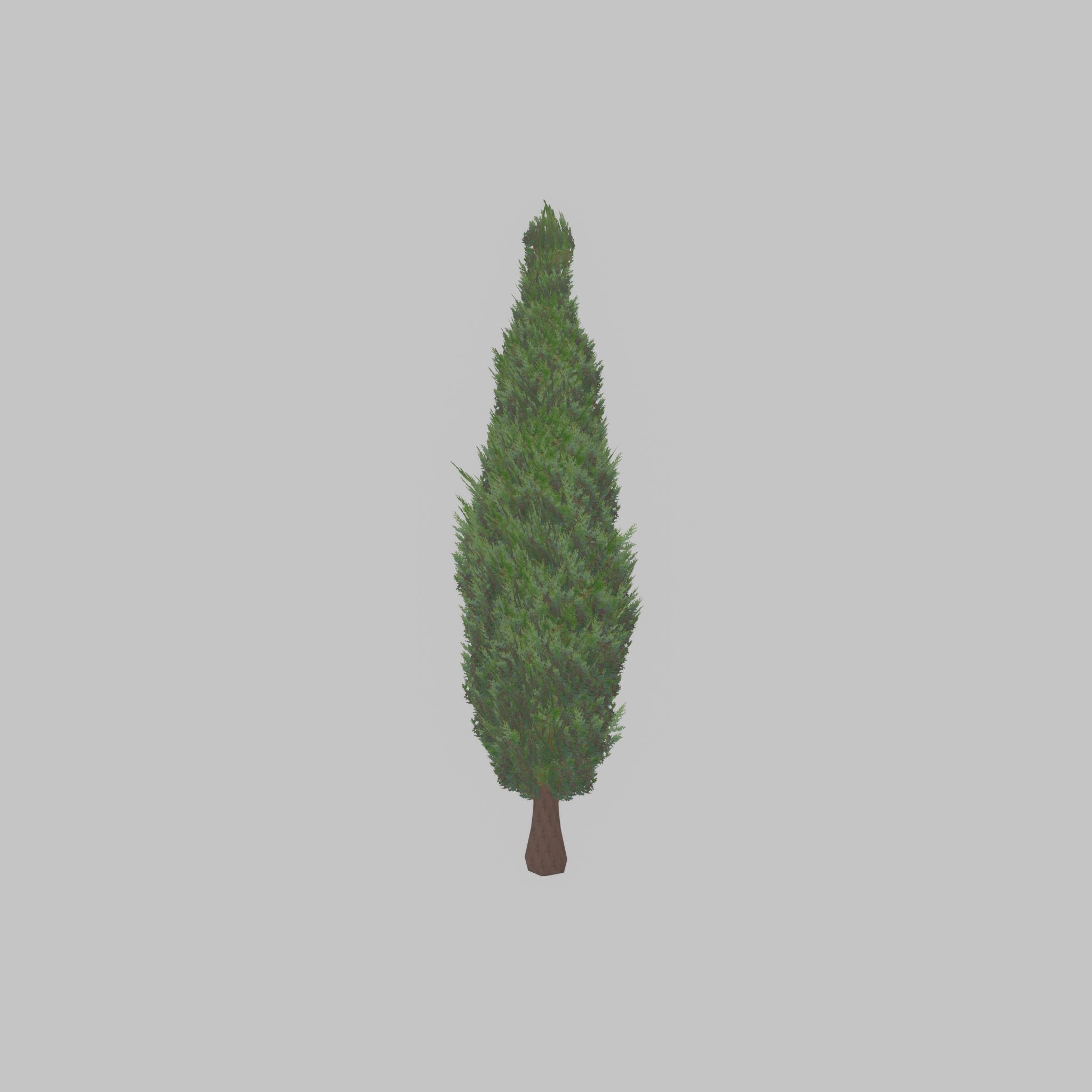 Mock cypress version-1 2000mm Low-poly 3D model_44