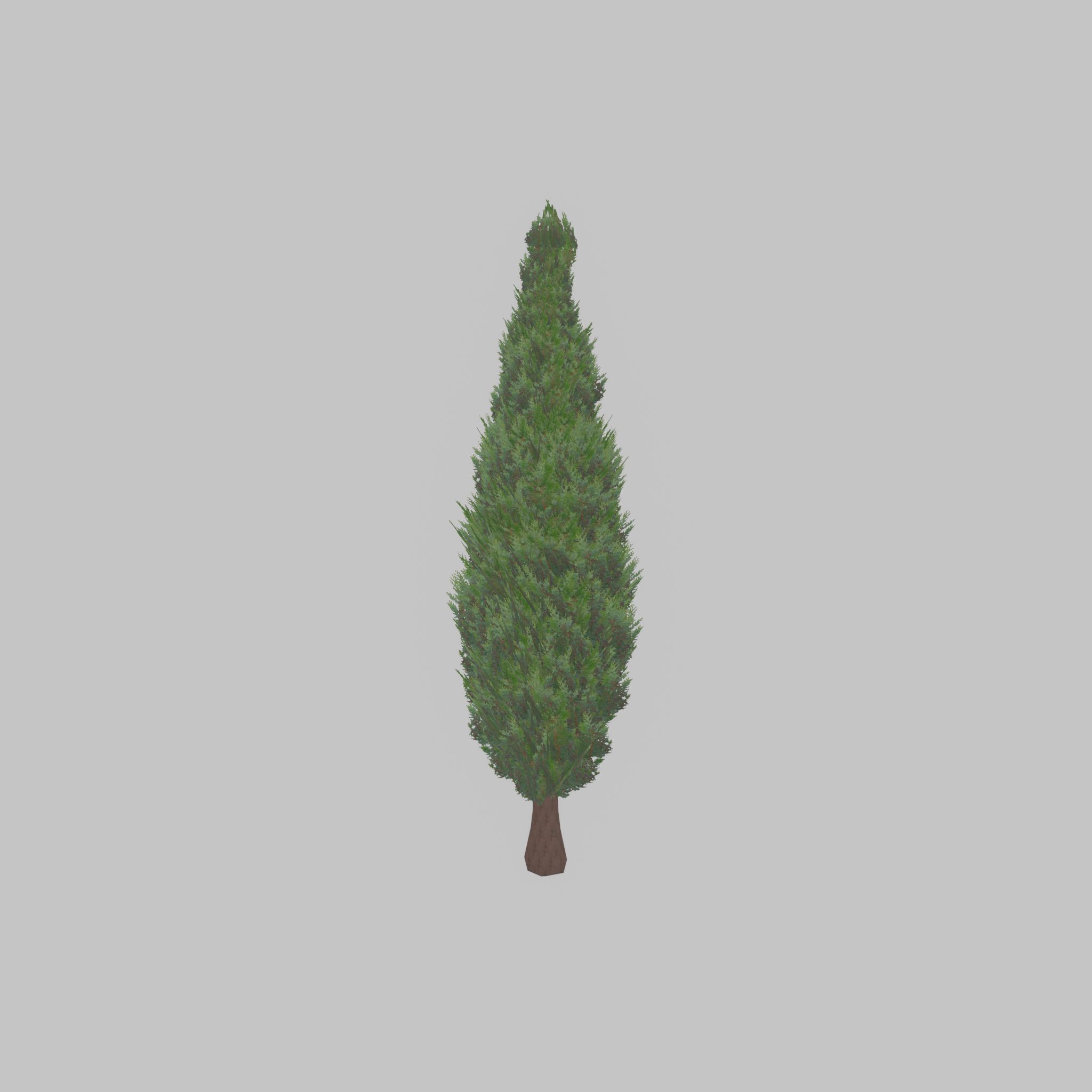 Mock cypress version-1 2000mm Low-poly 3D model_32