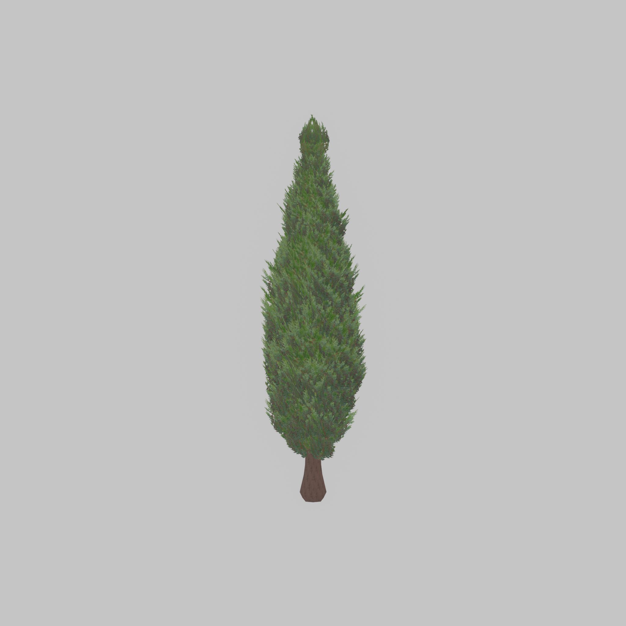 Mock cypress version-1 2000mm Low-poly 3D model_22