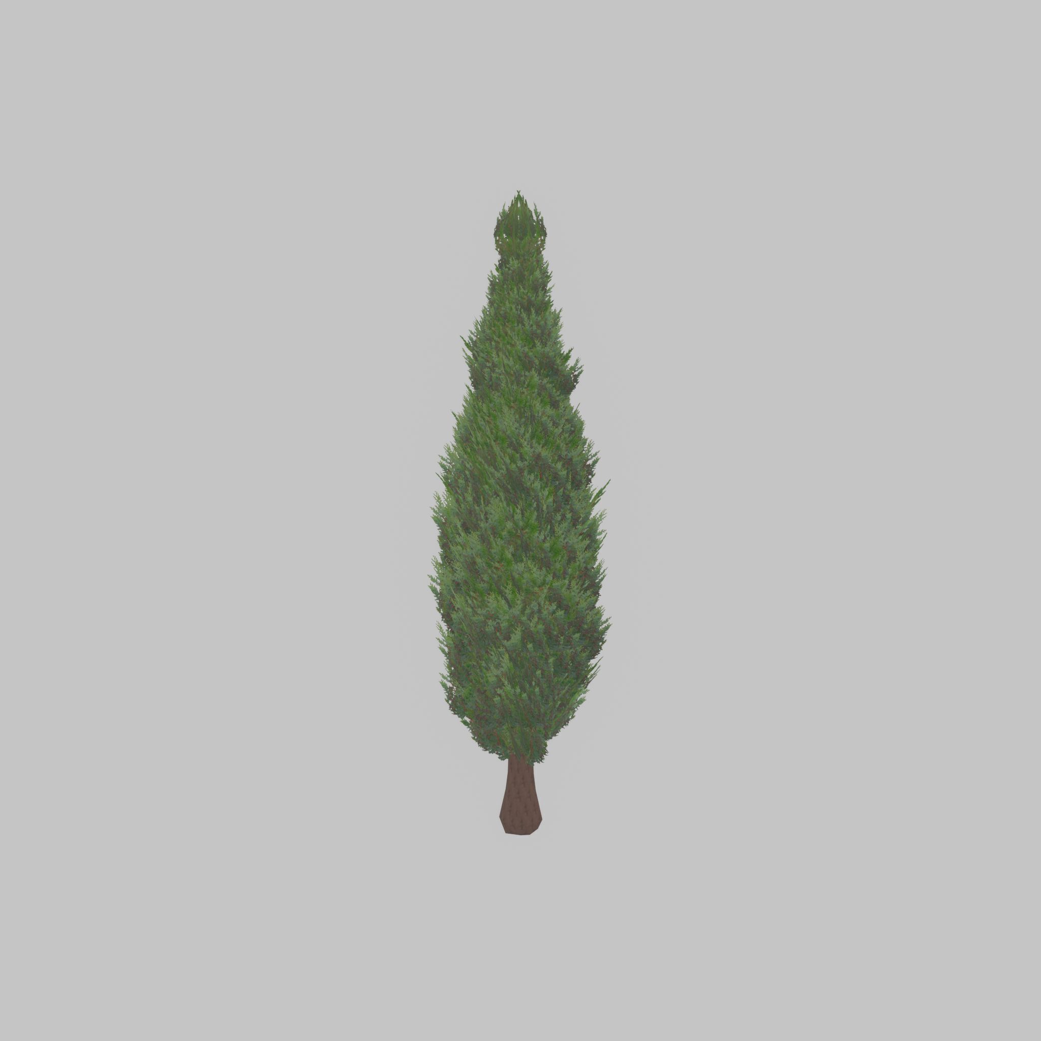 Mock cypress version-1 2000mm Low-poly 3D model_23