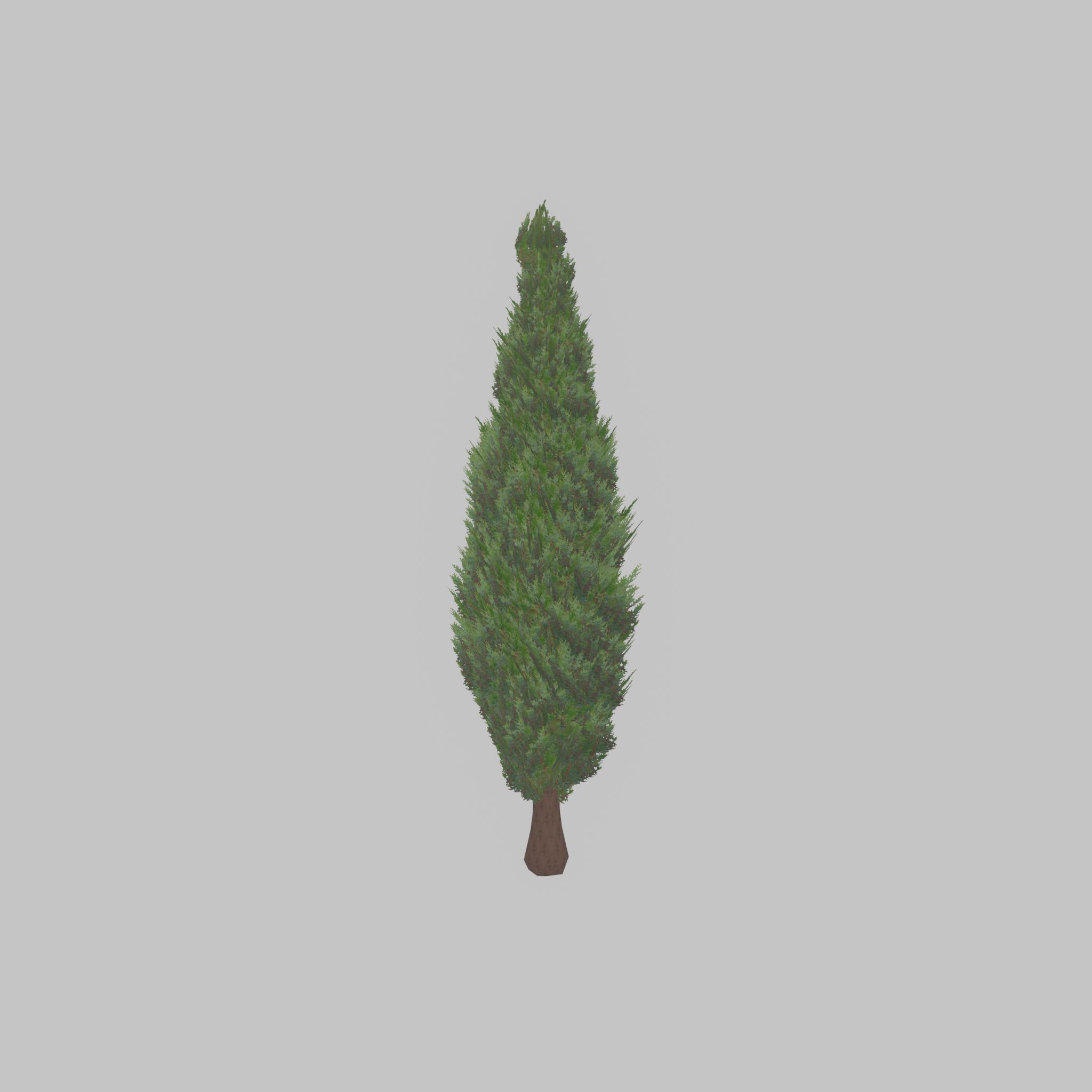 Mock cypress version-1 2000mm Low-poly 3D model_27