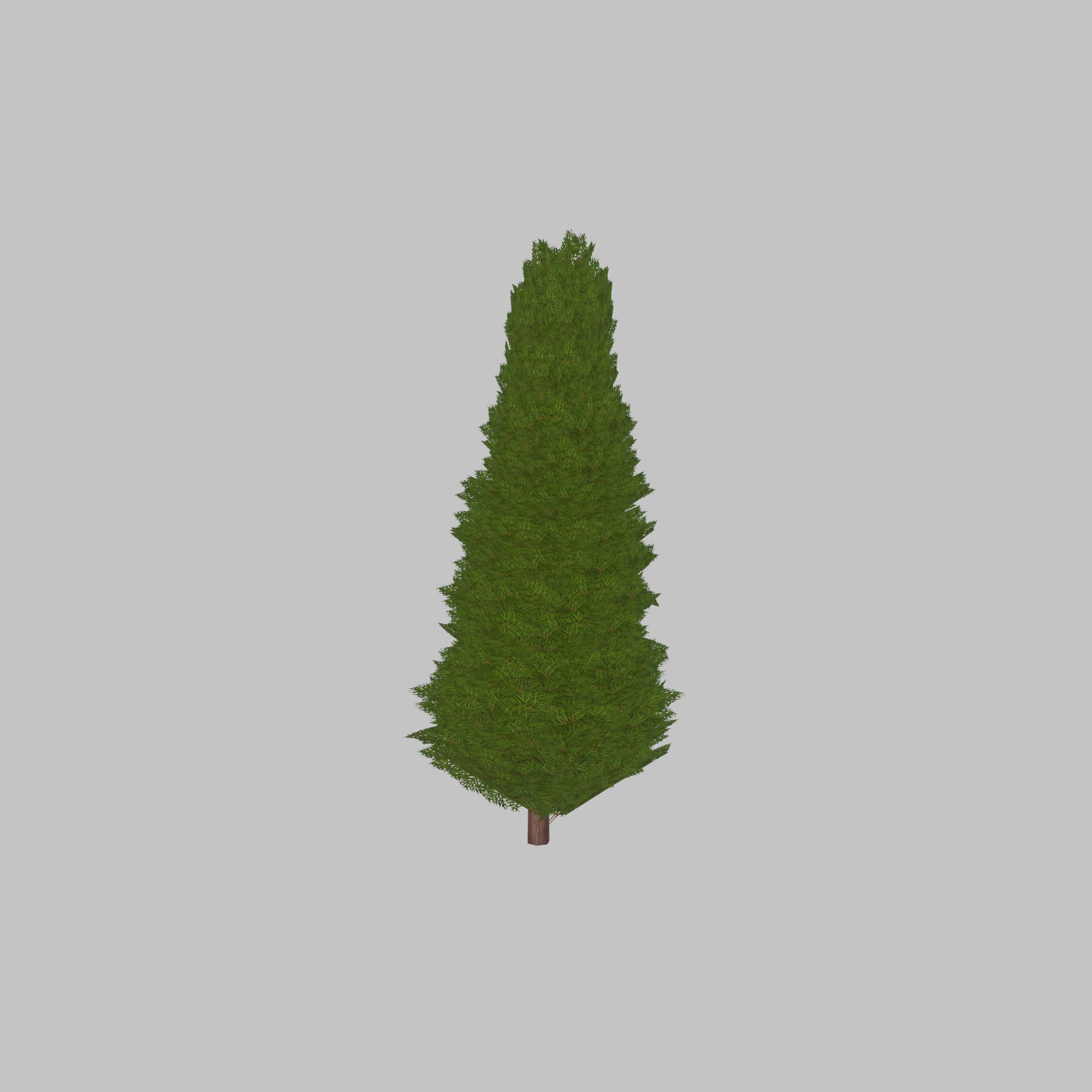 Mock cypress version-2 2000mm Low-poly 3D model_40