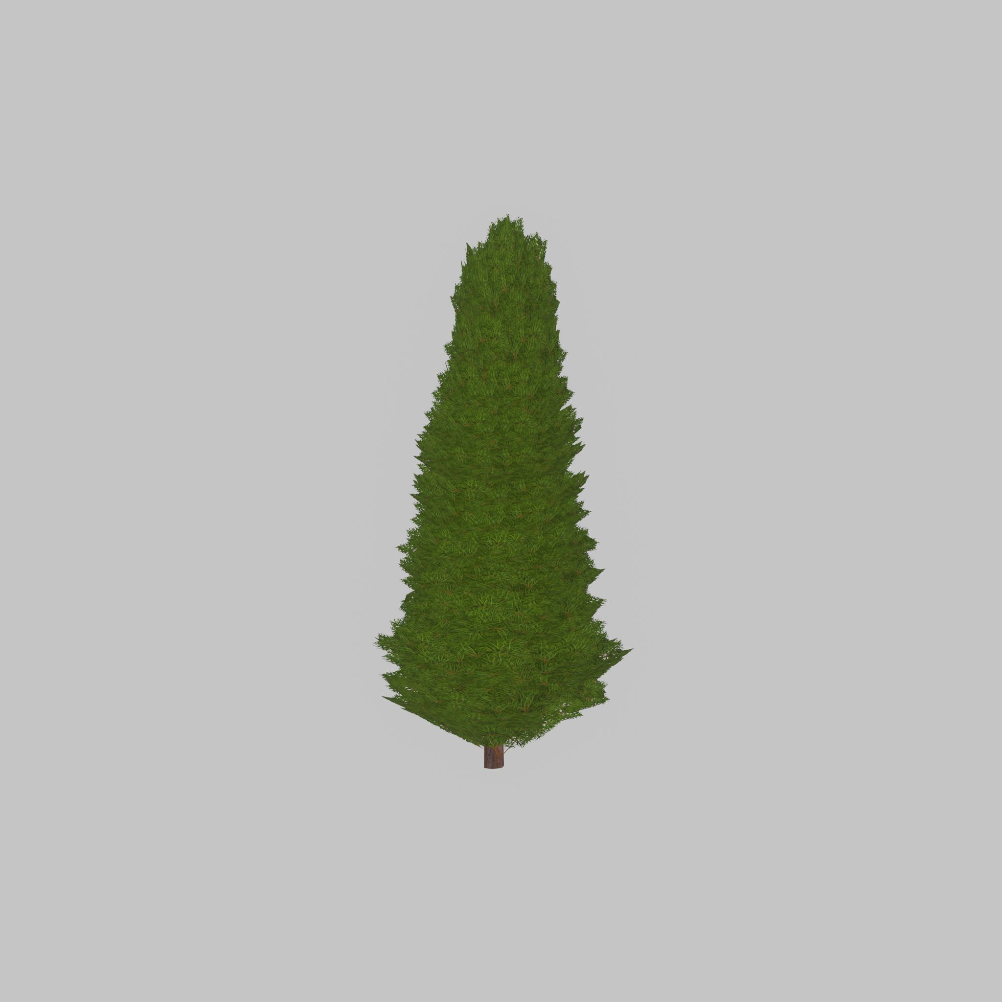 Mock cypress version-2 2000mm Low-poly 3D model_24