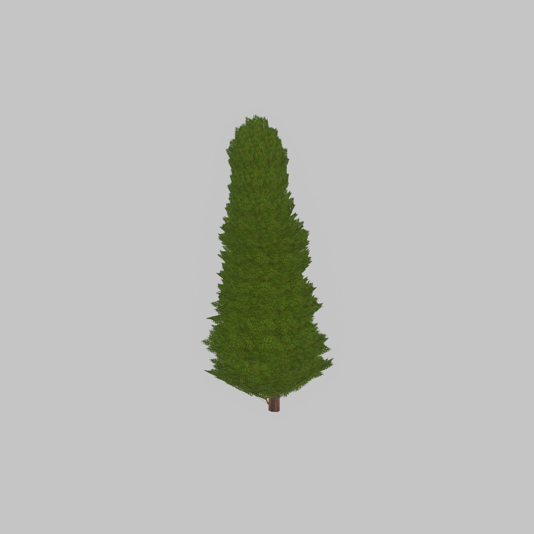 Mock cypress version-2 2000mm Low-poly 3D model_34