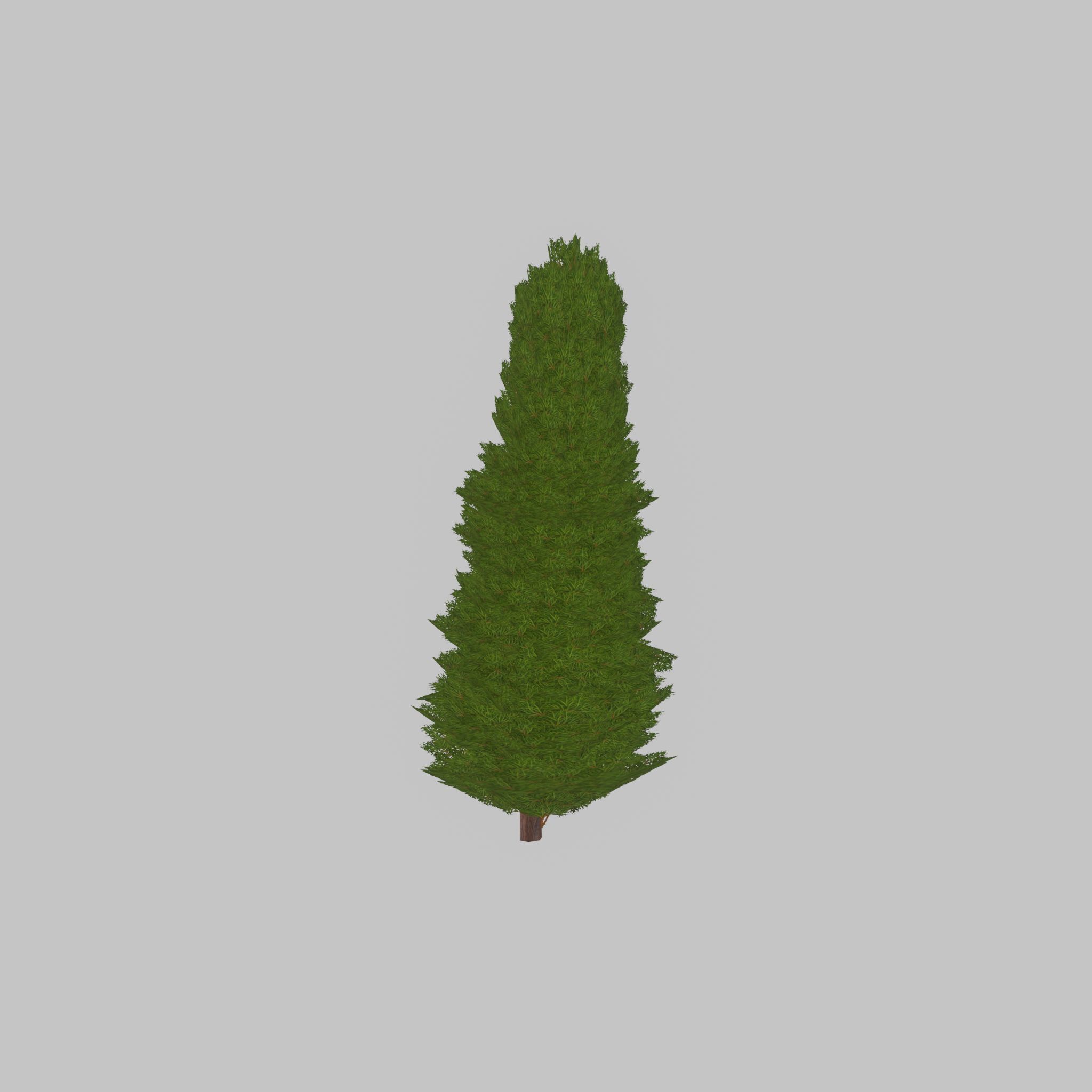 Mock cypress version-2 2000mm Low-poly 3D model_44