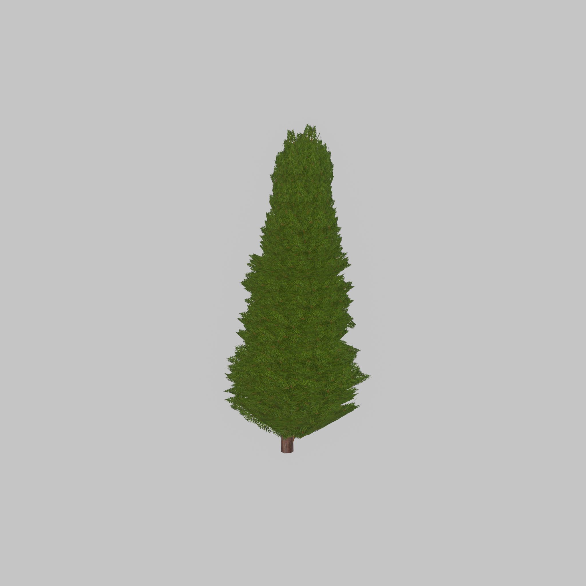 Mock cypress version-2 2000mm Low-poly 3D model_41