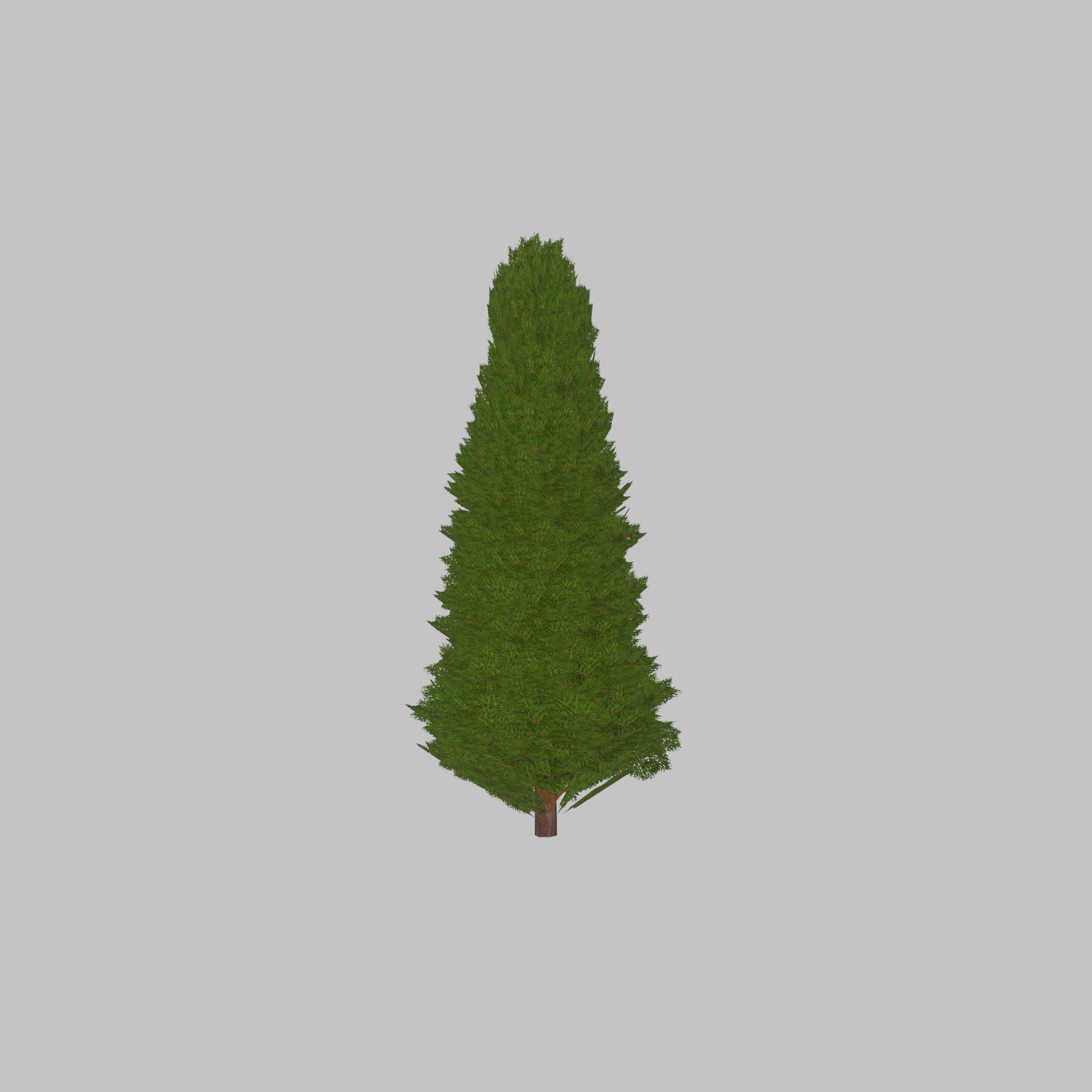 Mock cypress version-2 2000mm Low-poly 3D model_26