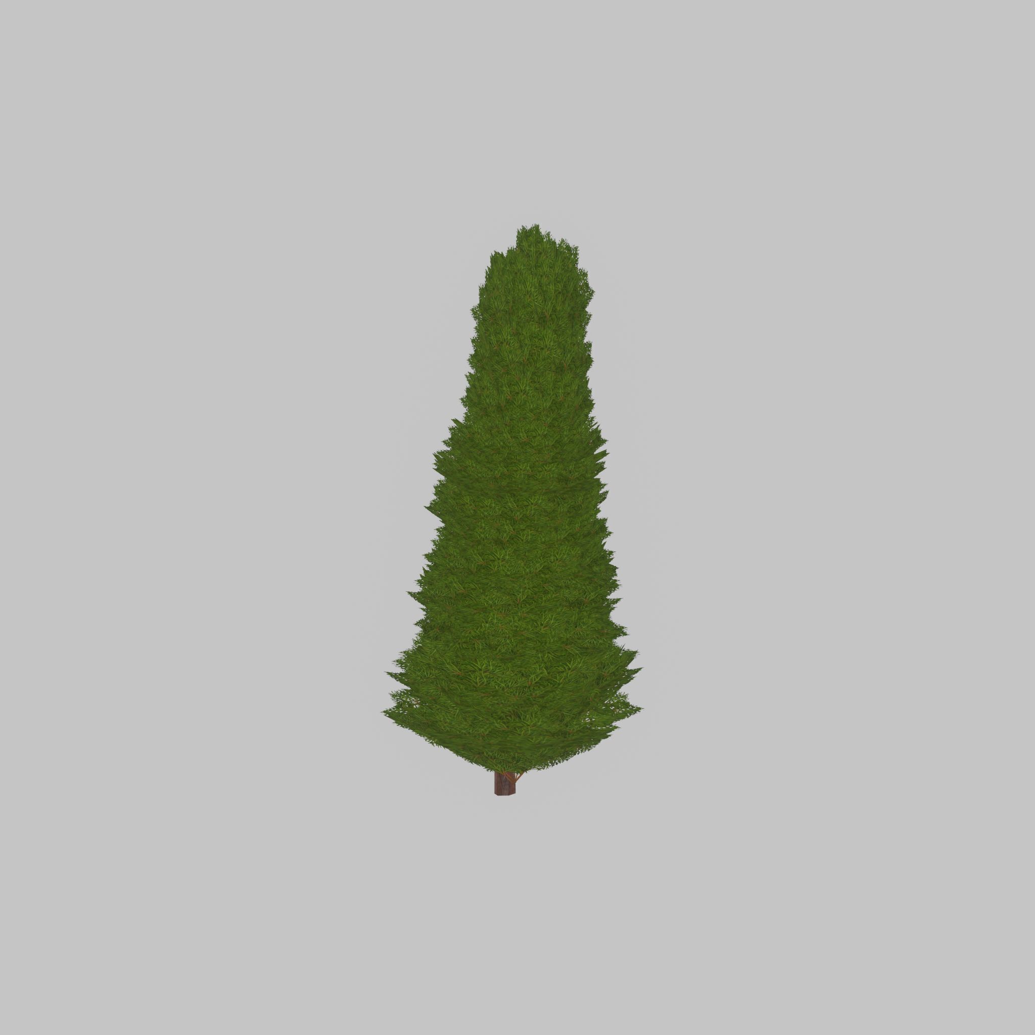 Mock cypress version-2 2000mm Low-poly 3D model_22