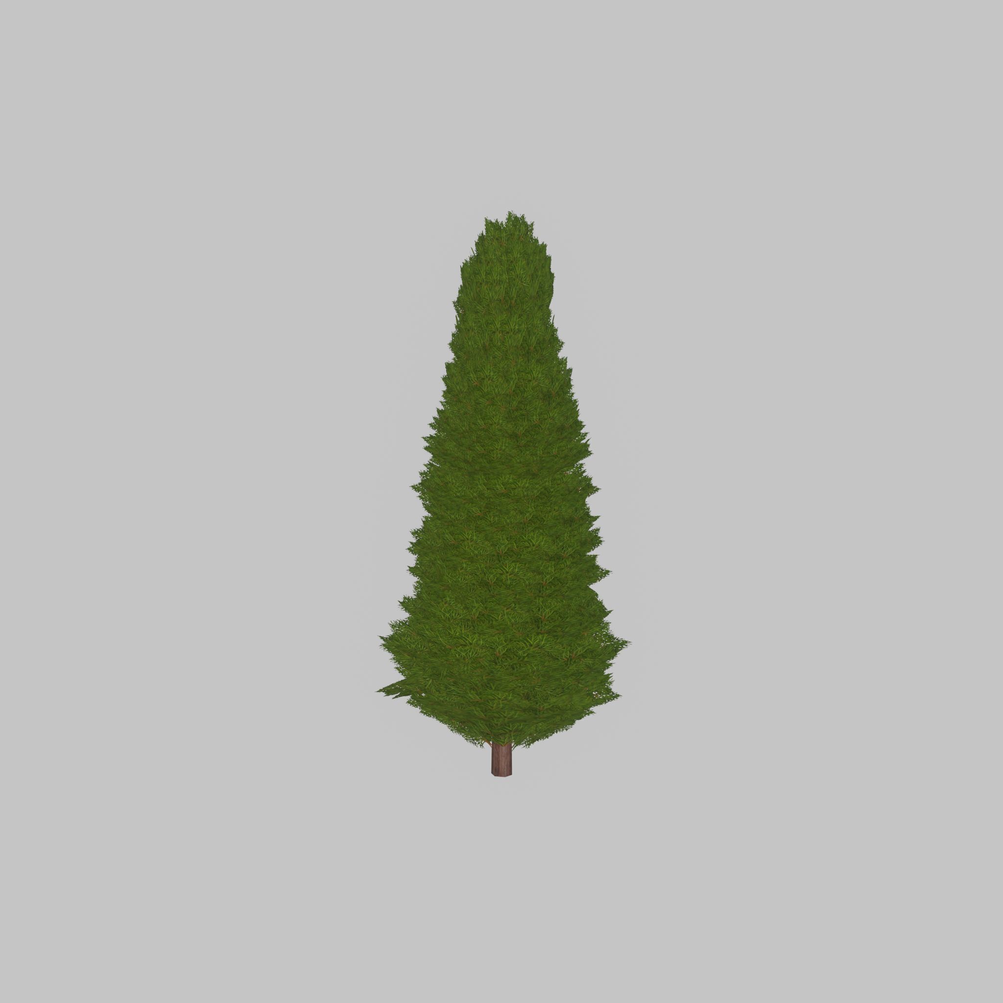 Mock cypress version-2 2000mm Low-poly 3D model_32