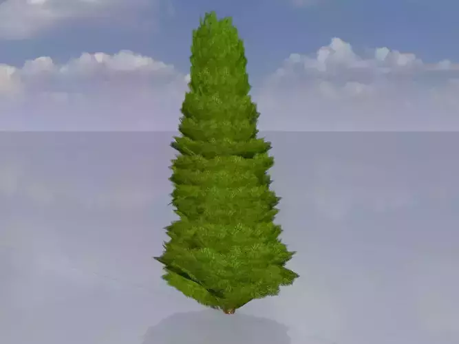 Mock cypress version-2 2000mm Low-poly 3D model