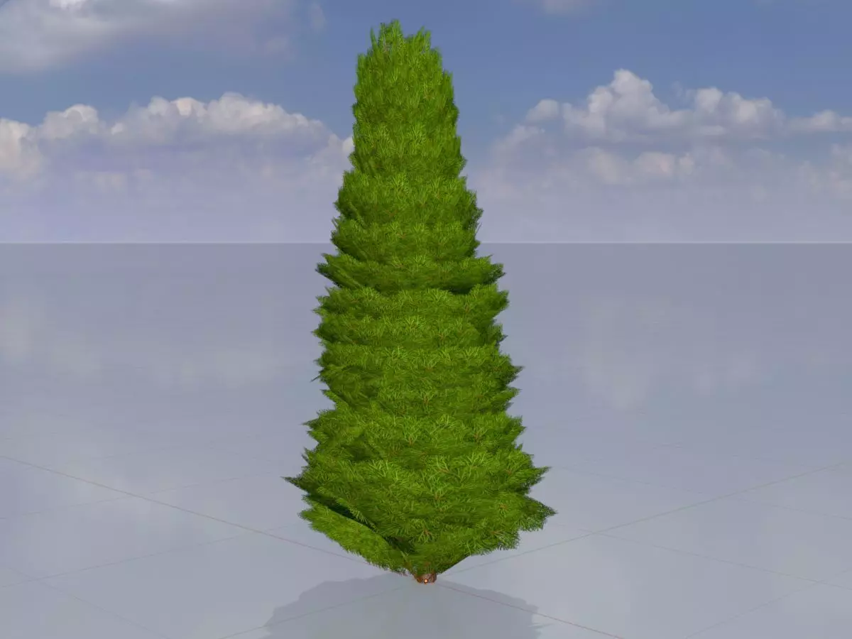 Mock cypress version-2 2000mm Low-poly 3D model_0