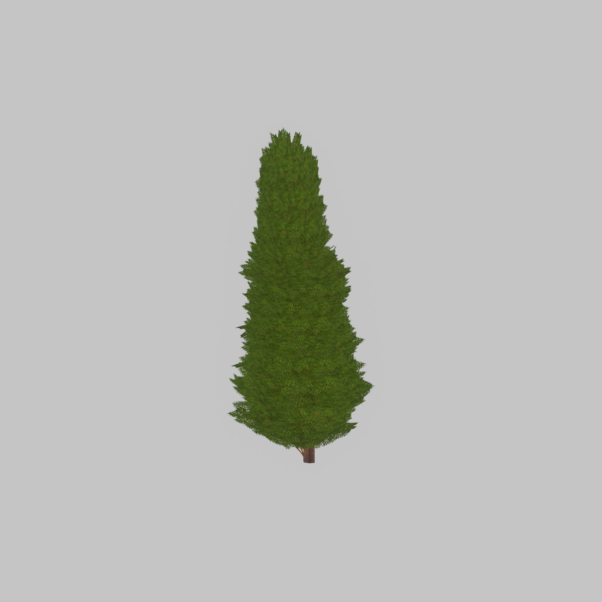 Mock cypress version-2 2000mm Low-poly 3D model_31