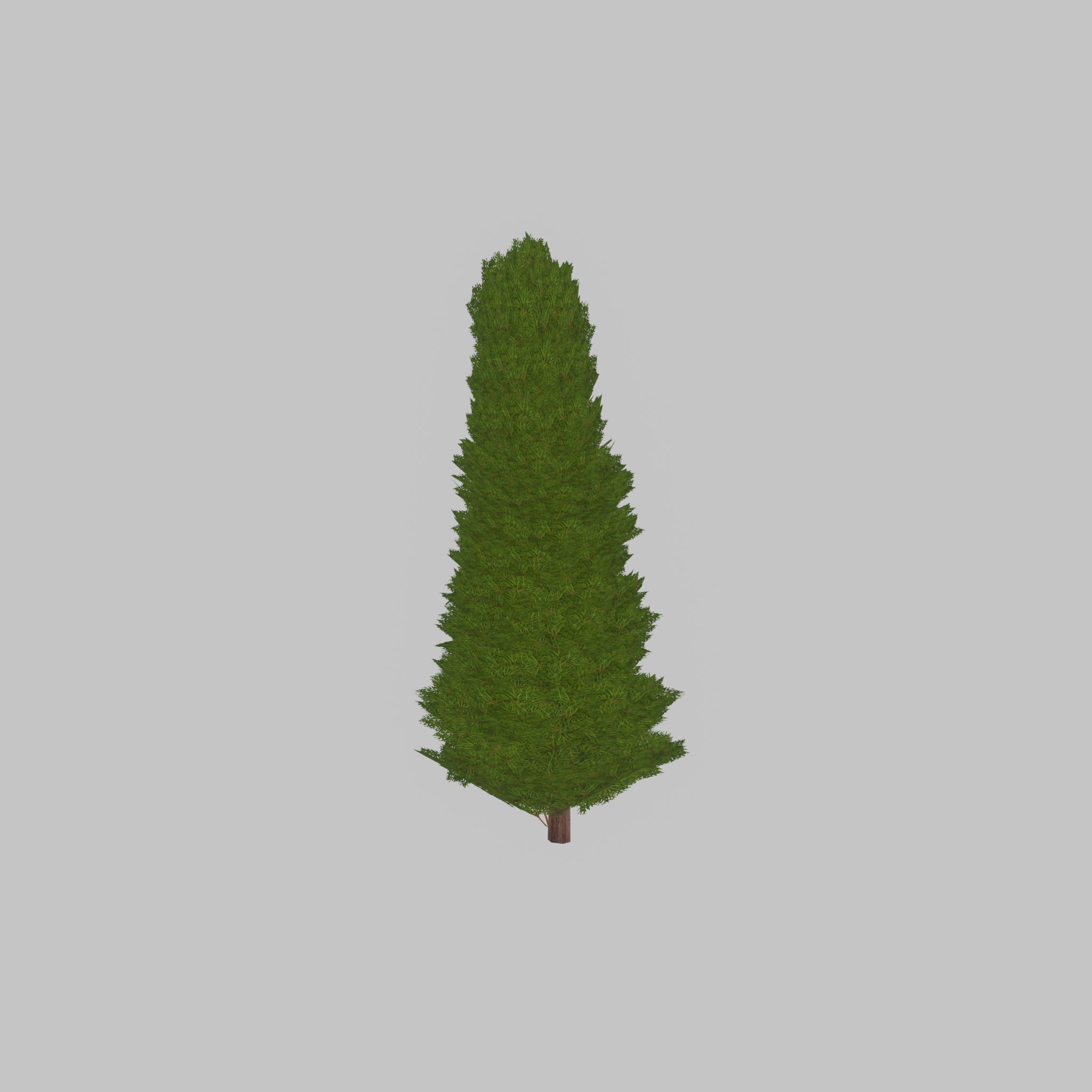 Mock cypress version-2 2000mm Low-poly 3D model_35