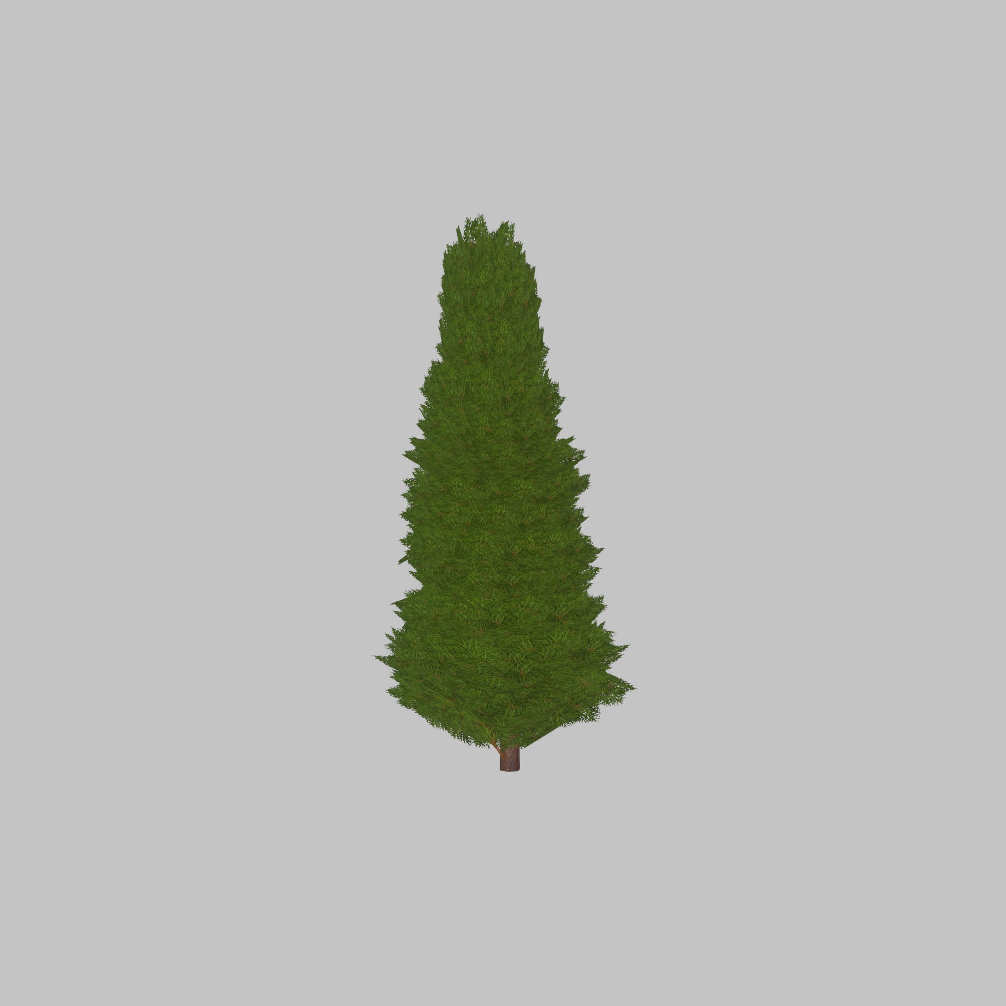 Mock cypress version-2 2000mm Low-poly 3D model_28