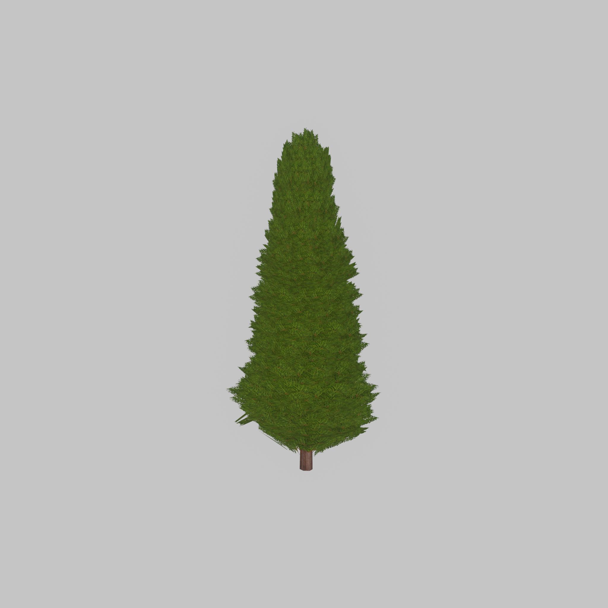 Mock cypress version-2 2000mm Low-poly 3D model_38
