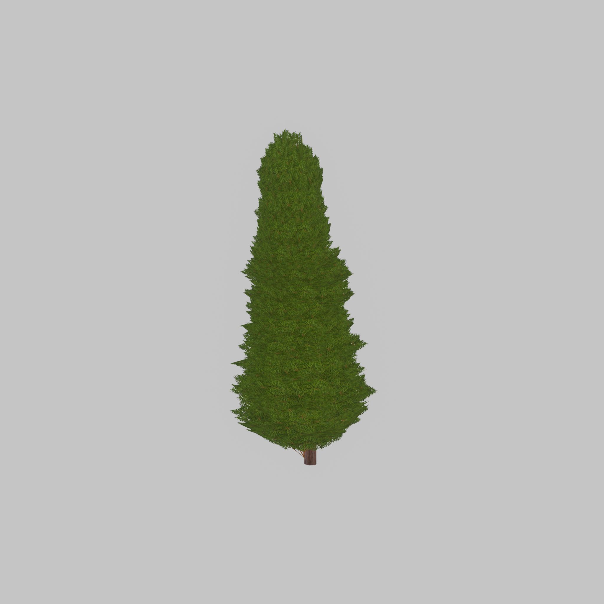Mock cypress version-2 2000mm Low-poly 3D model_33