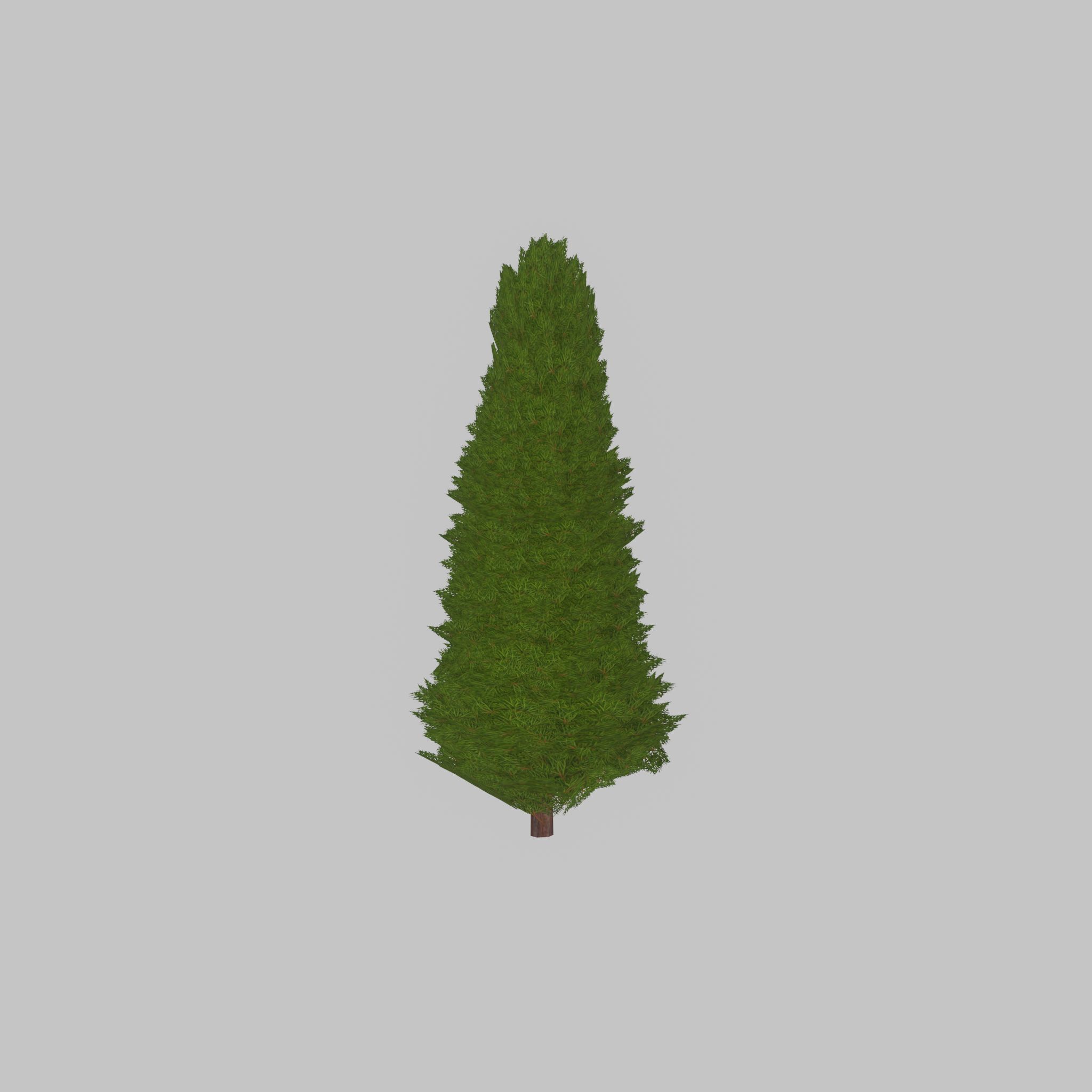 Mock cypress version-2 2000mm Low-poly 3D model_25