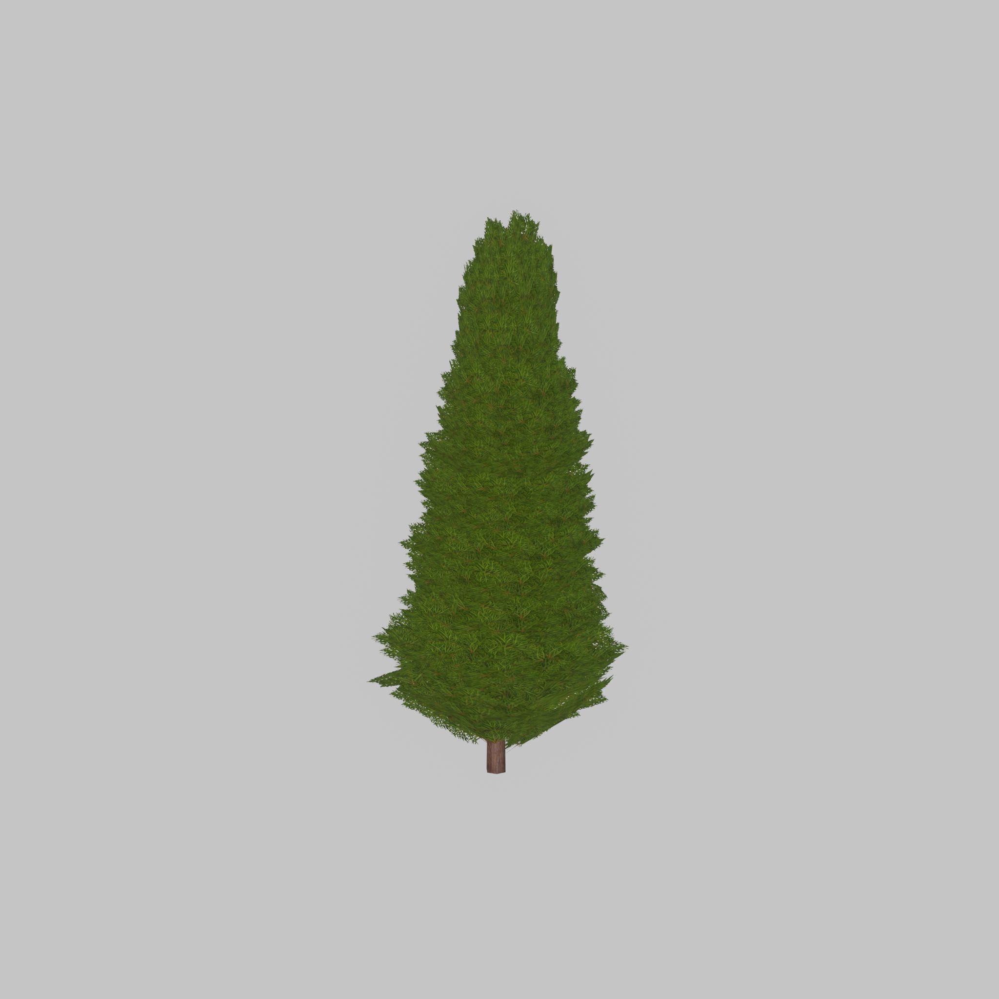 Mock cypress version-2 2000mm Low-poly 3D model_39