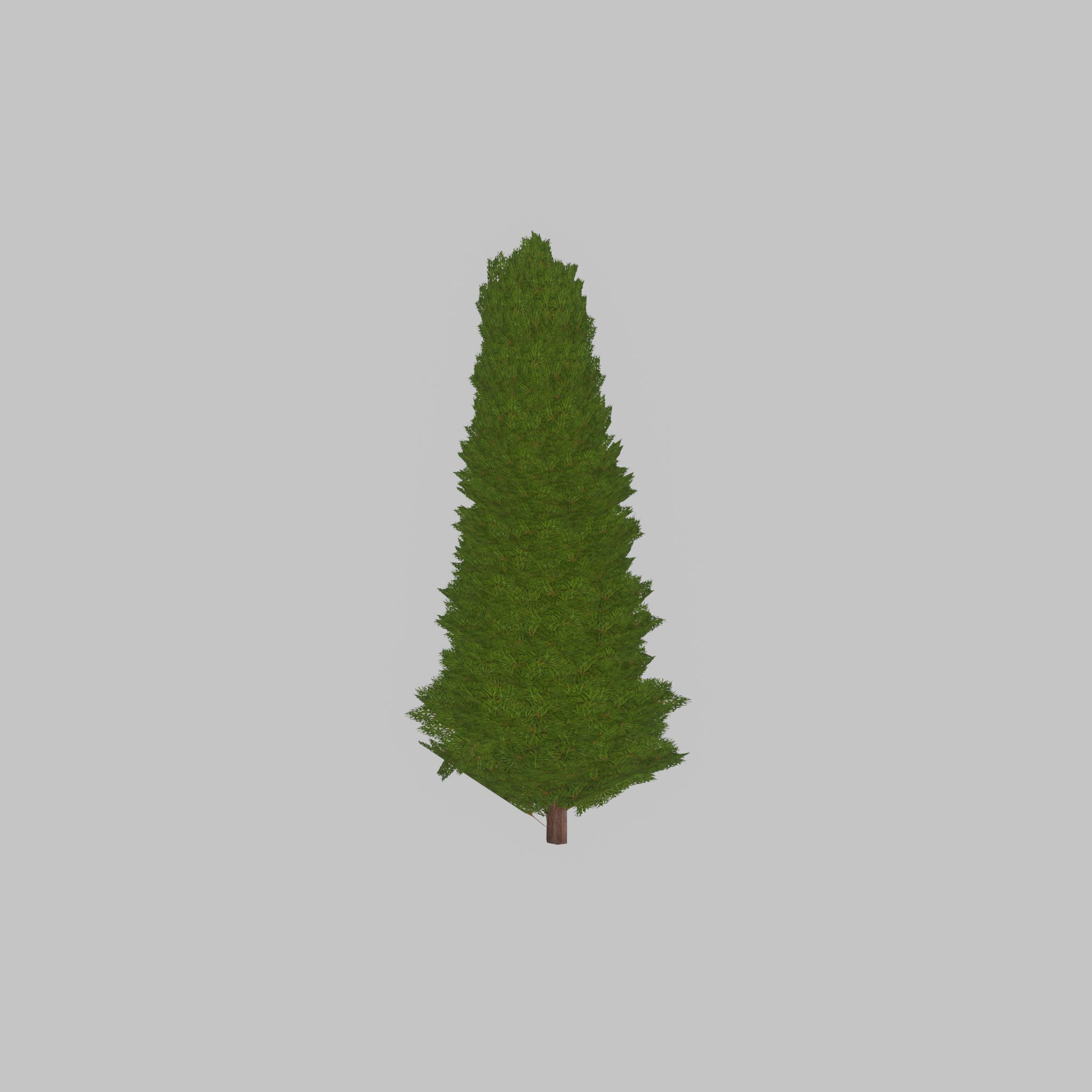 Mock cypress version-2 2000mm Low-poly 3D model_36