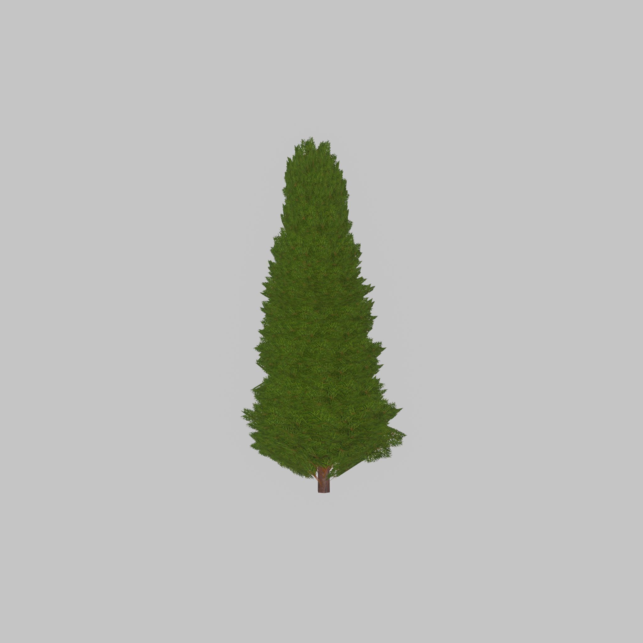 Mock cypress version-2 2000mm Low-poly 3D model_27
